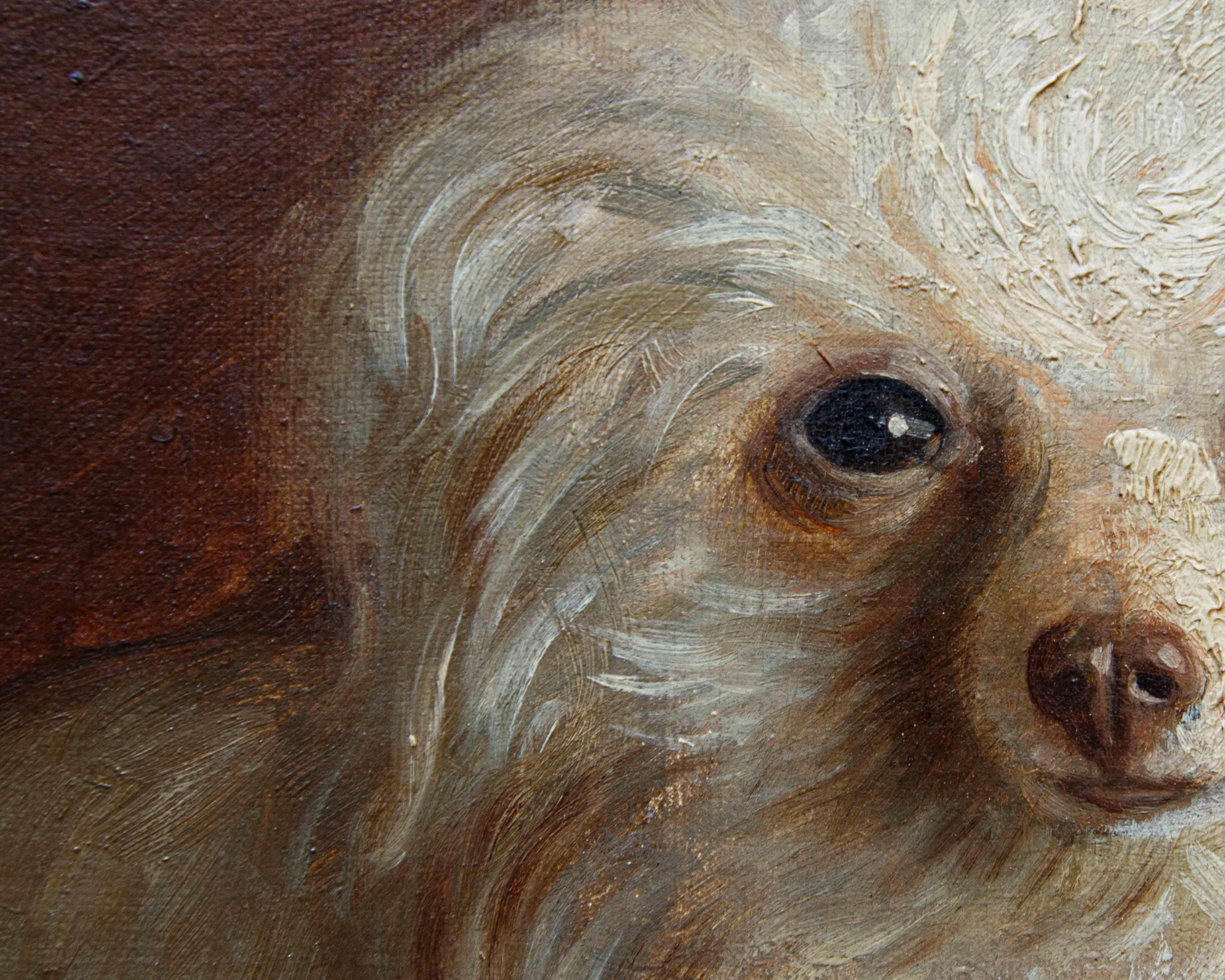Di A. Fallol, Ritratto di Barboncino For Sale 5