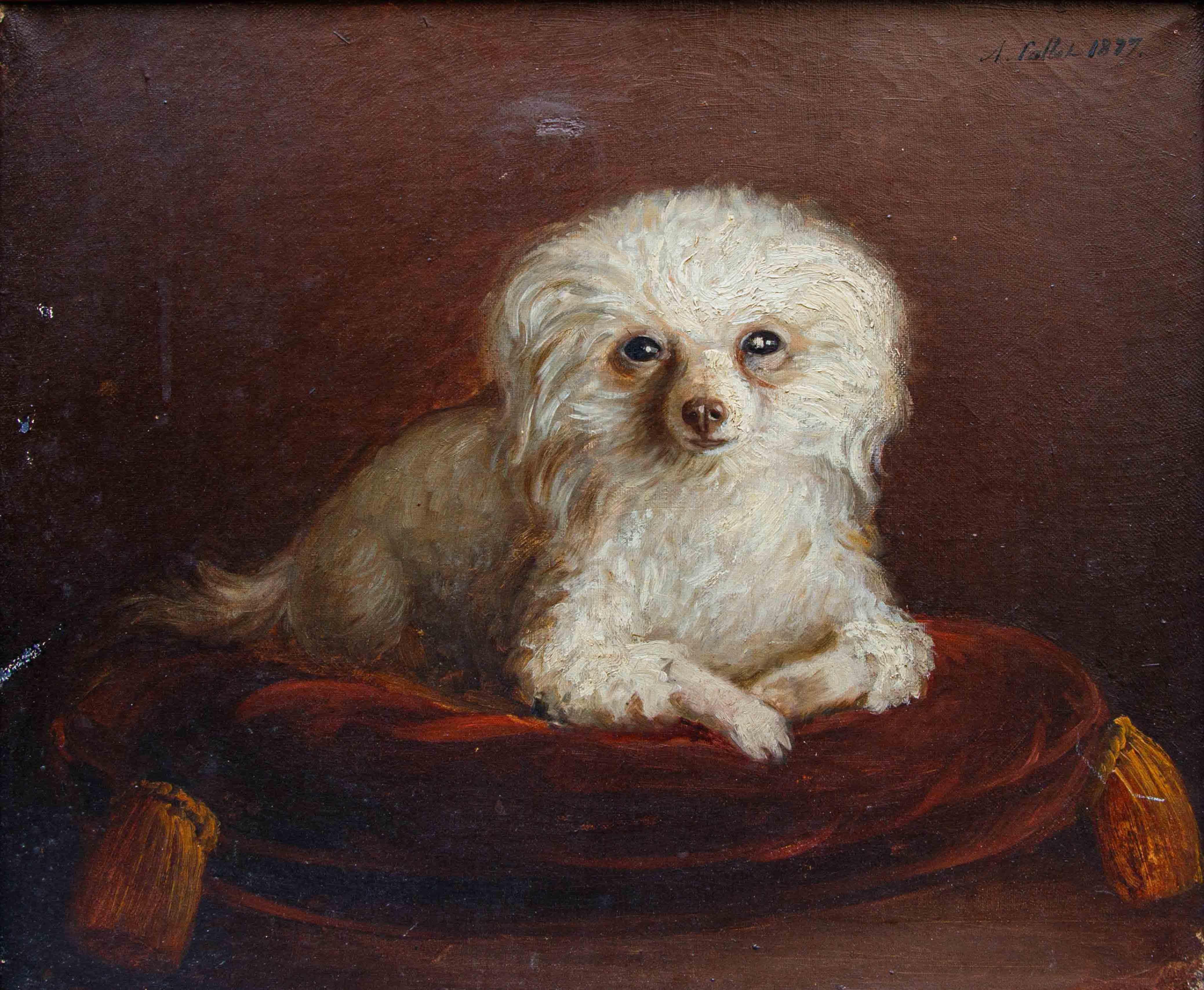 Di A. Fallol, Ritratto di Barboncino For Sale 7