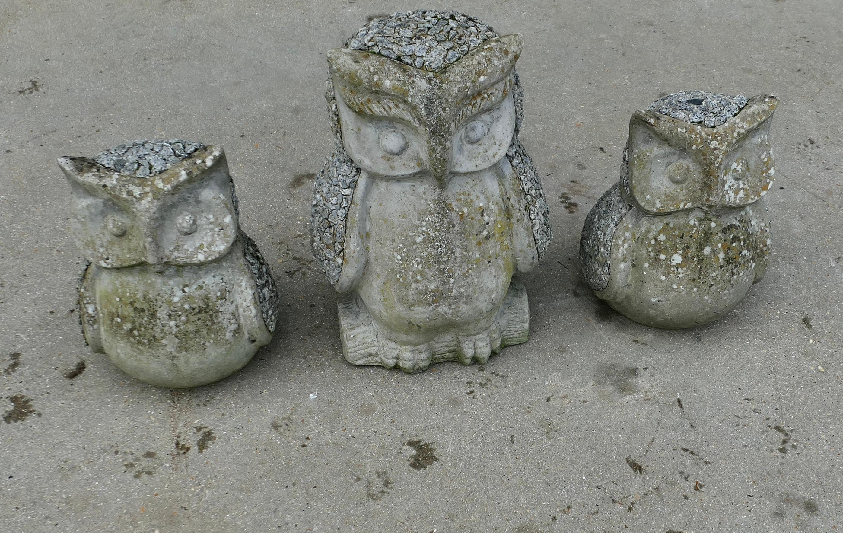 Arte popolare Una famiglia di 3 gufi di granito con le intemperie  Un delizioso Trio in vendita