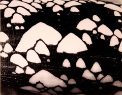 A. Feininger Conus Textil, signiertes Portfolio mit Muschel-Gelatine-Silberdruck, 1950