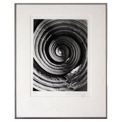 A. Feininger Shell Whorl 1950 Signed Portfolio of Shells Gelatin Silver Print