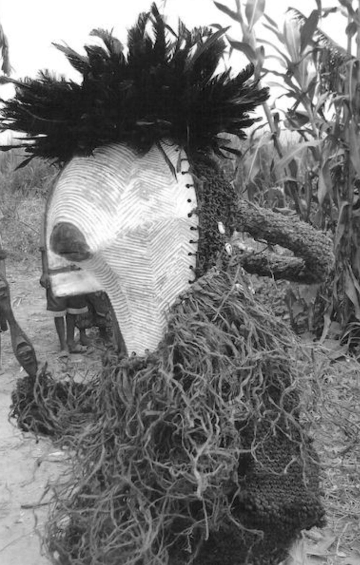 Female Songye Kifwebe Hand Carved Ceremonial Mask 7