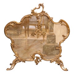 A fine 19th century French gilt bronze Louis XV fire screen