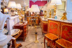 Fine 19th Century French Patinated and Gilt Bronze Floor Lamp