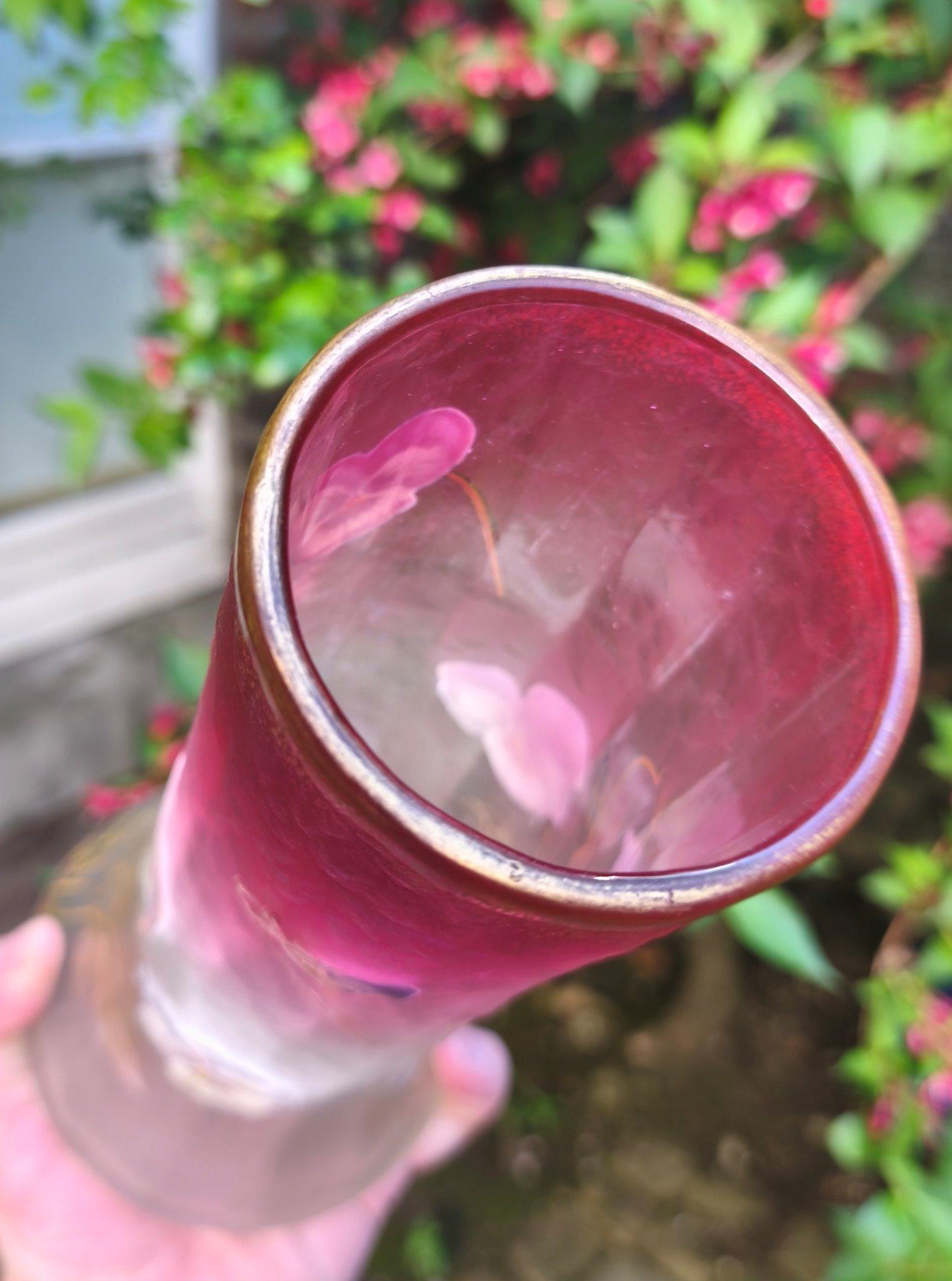 Eine feine und frühe Vase aus säuregeätztem Glas im Jugendstil mit Schalen aus Glas mit Schalen von Legras & Cie im Angebot 2