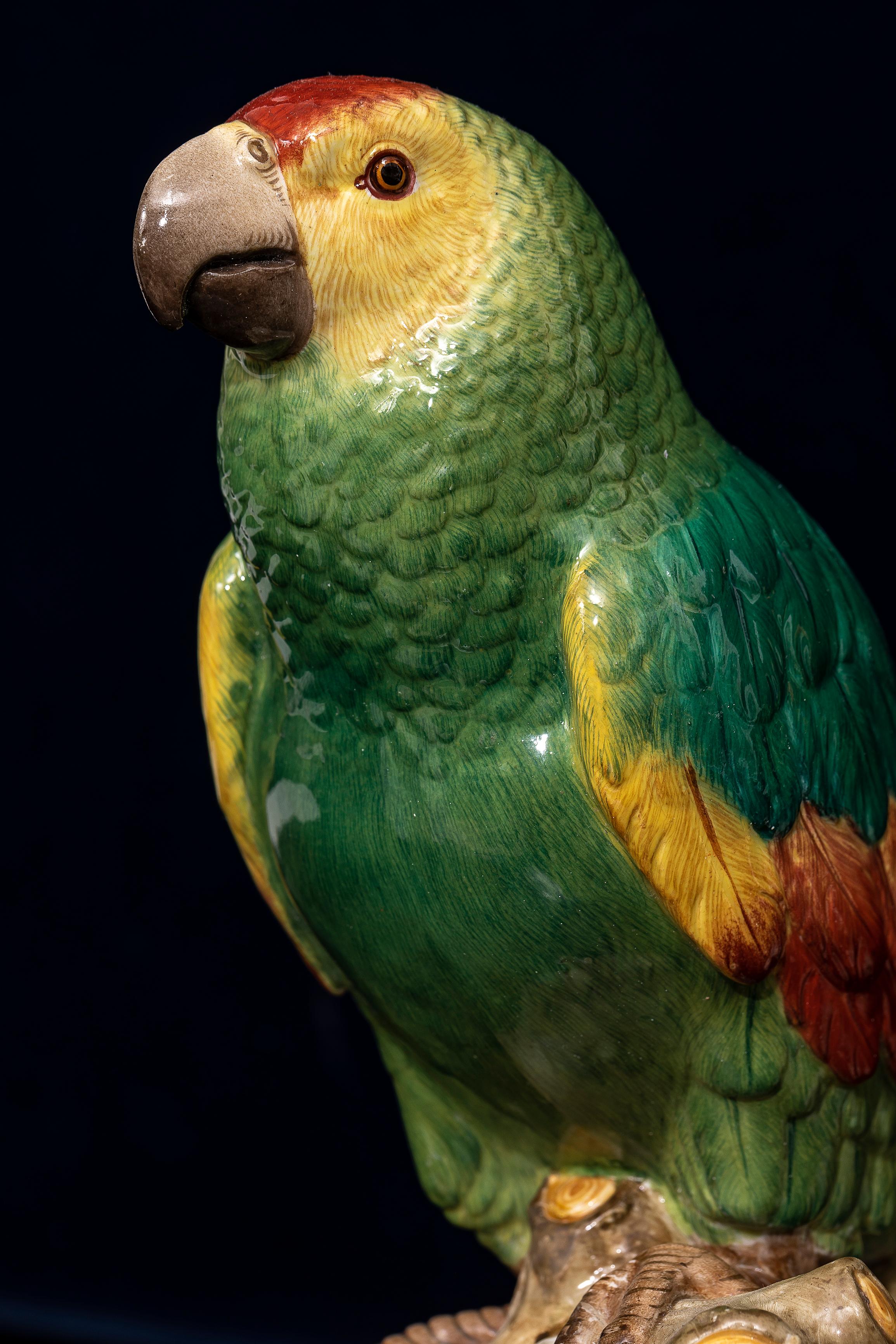 Pareja fina y grande de loros de porcelana de Meissen del siglo XIX en venta 4