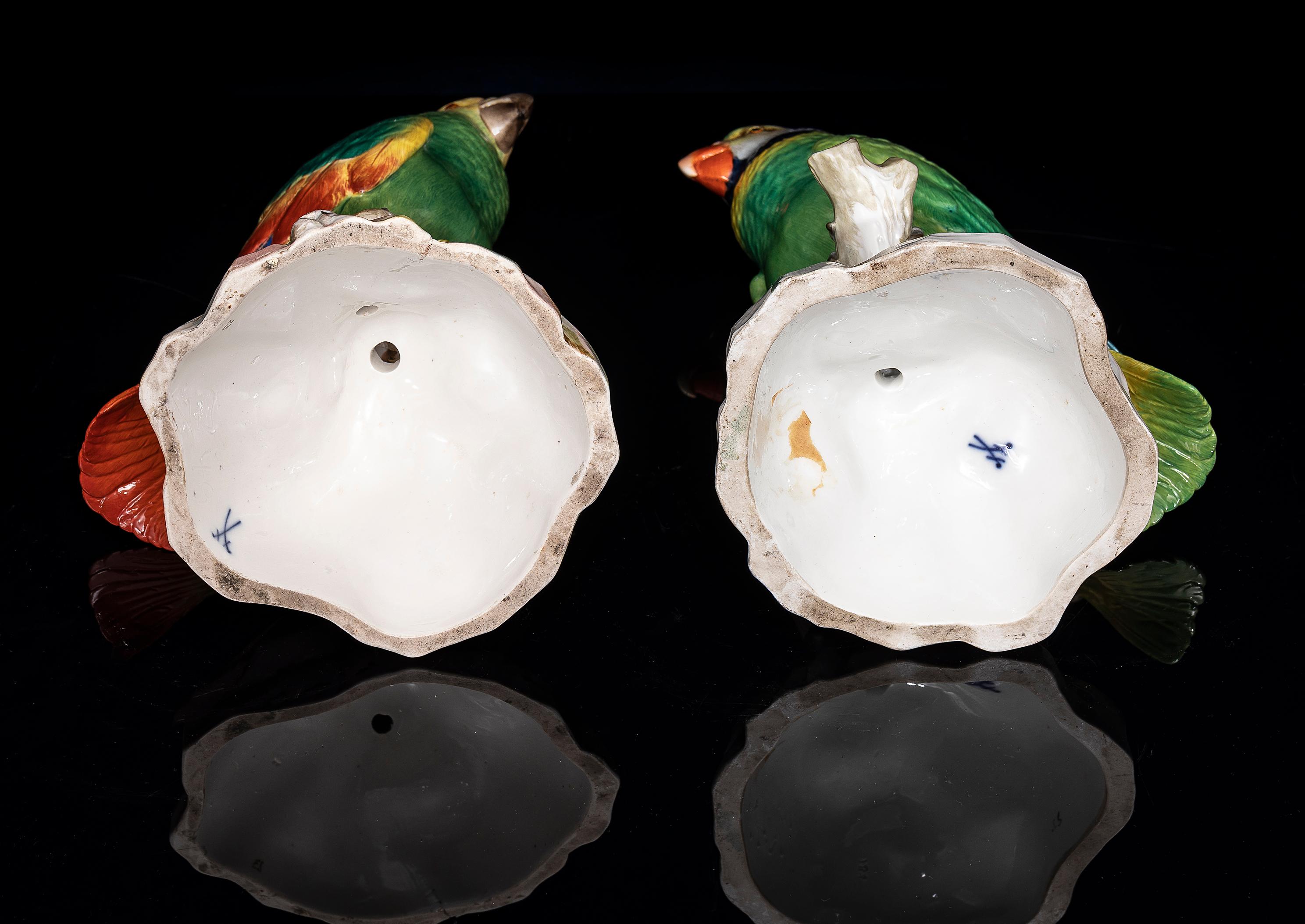 Pareja fina y grande de loros de porcelana de Meissen del siglo XIX en venta 7