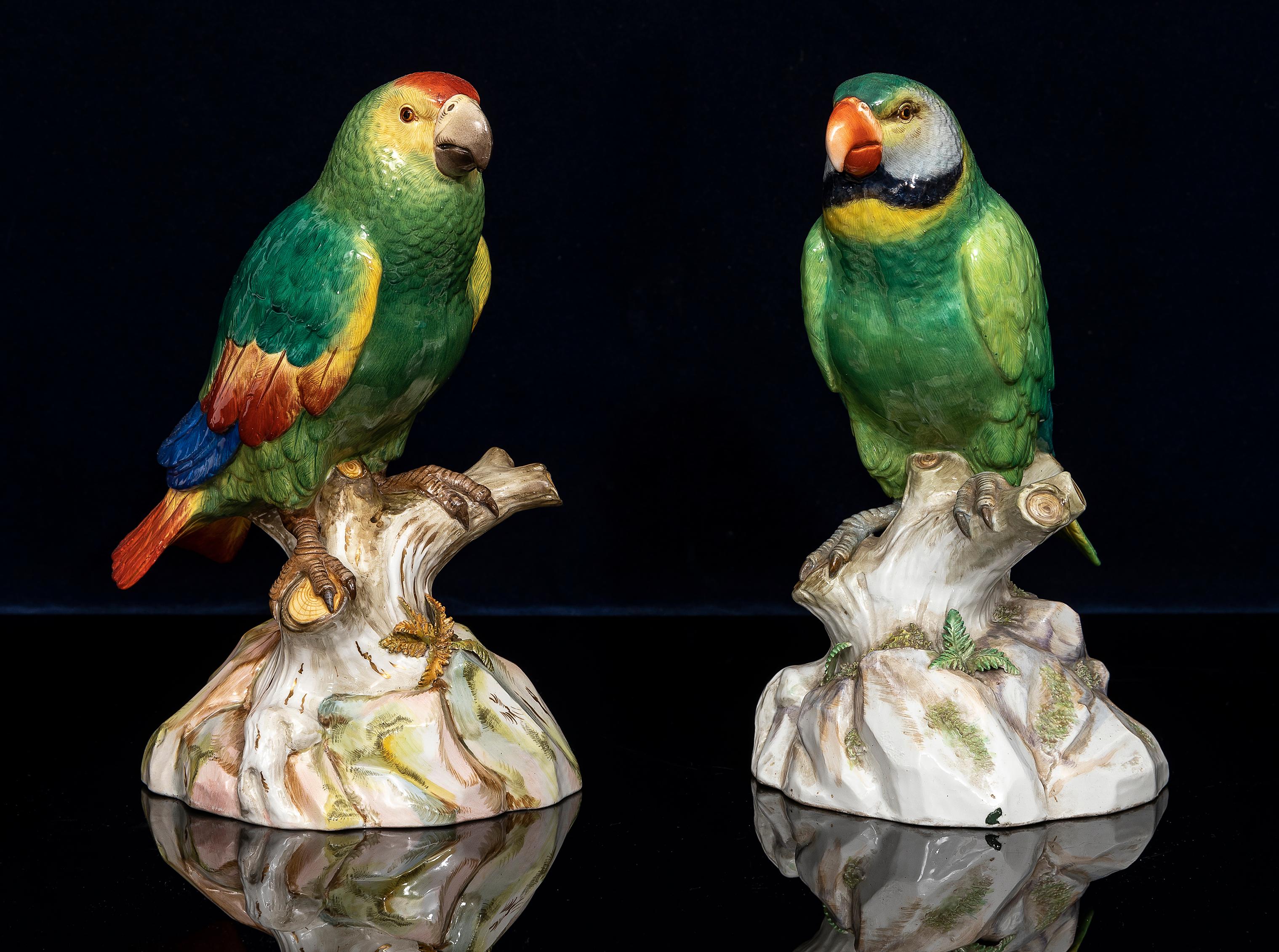 Pareja fina y grande de loros de porcelana de Meissen del siglo XIX en Bueno estado para la venta en New York, NY