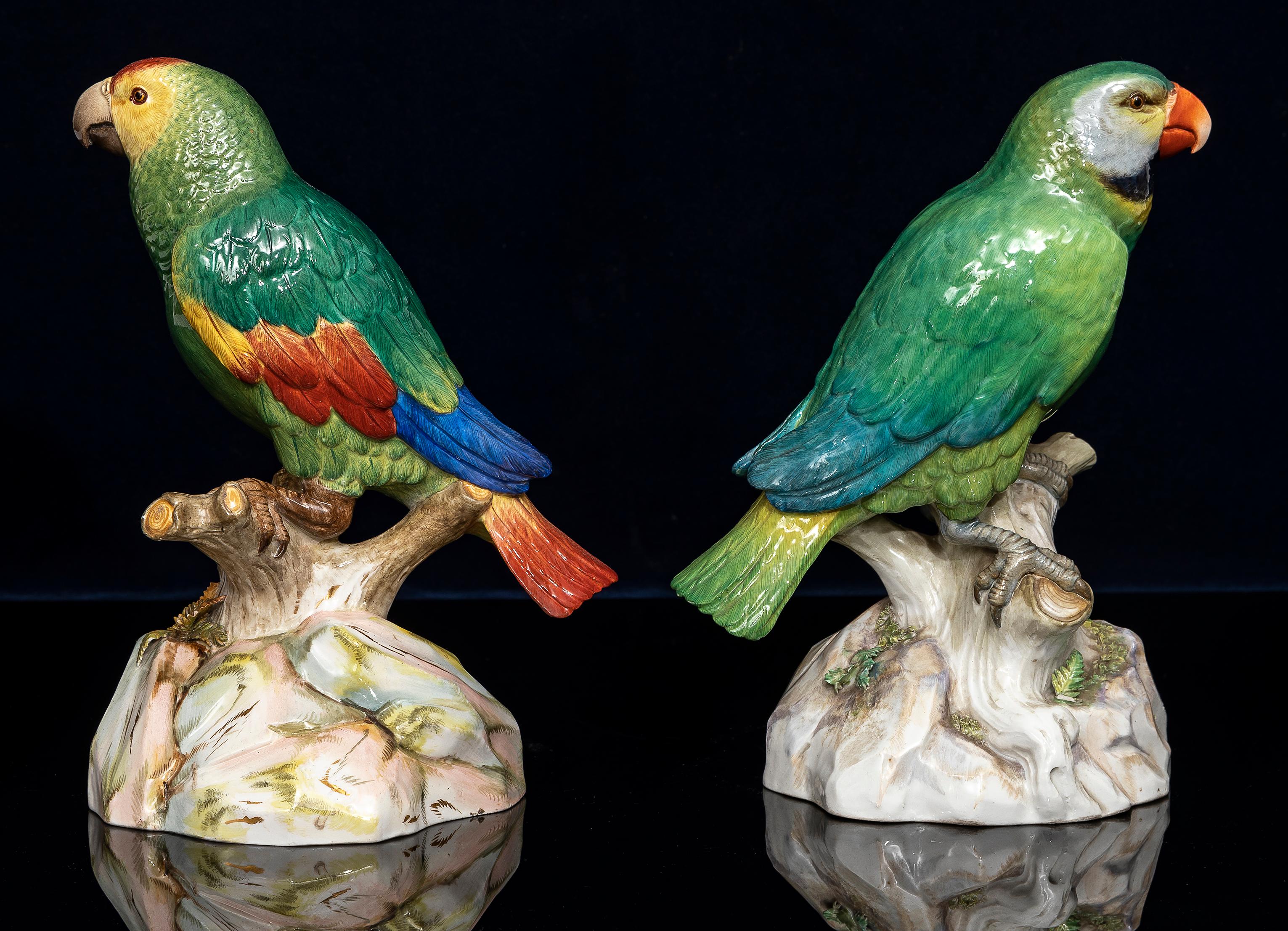 Pareja fina y grande de loros de porcelana de Meissen del siglo XIX Porcelana en venta