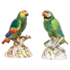 Pareja fina y grande de loros de porcelana de Meissen del siglo XIX