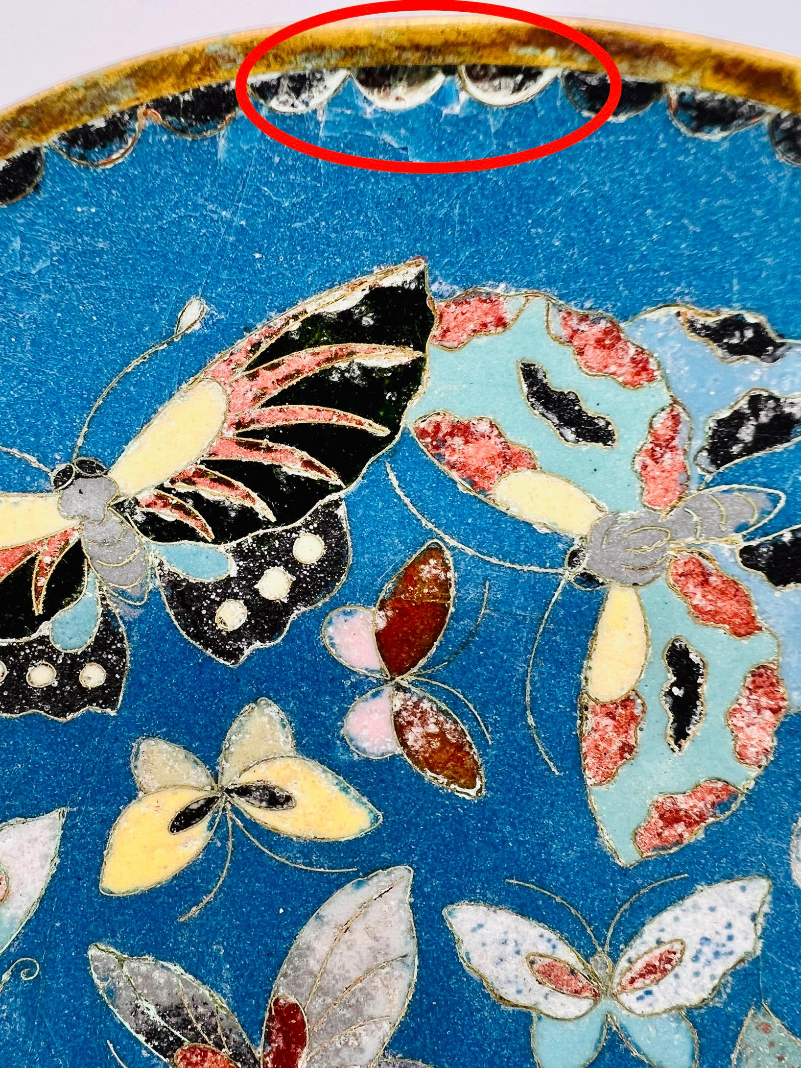 Fine Antique Japanese Cloisonne Enamel Butterfly Plate. Meiji Period For Sale 3