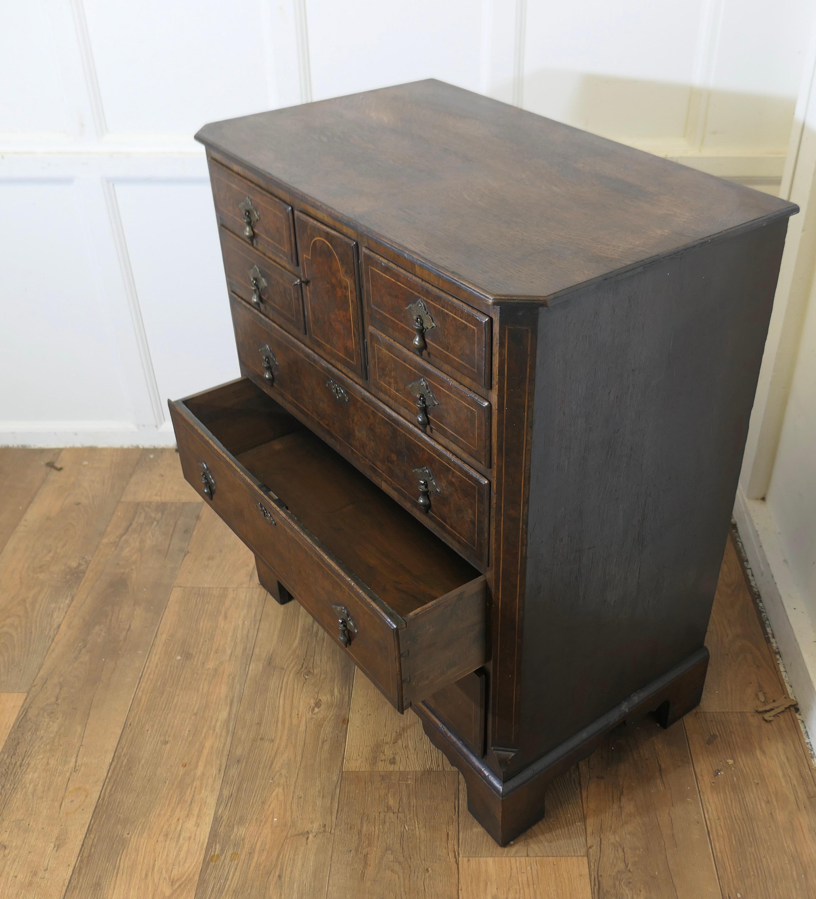 Noce Un'elegante cassettiera in noce di Bur e Oak  Il Can ha una combinazione insolita di in vendita
