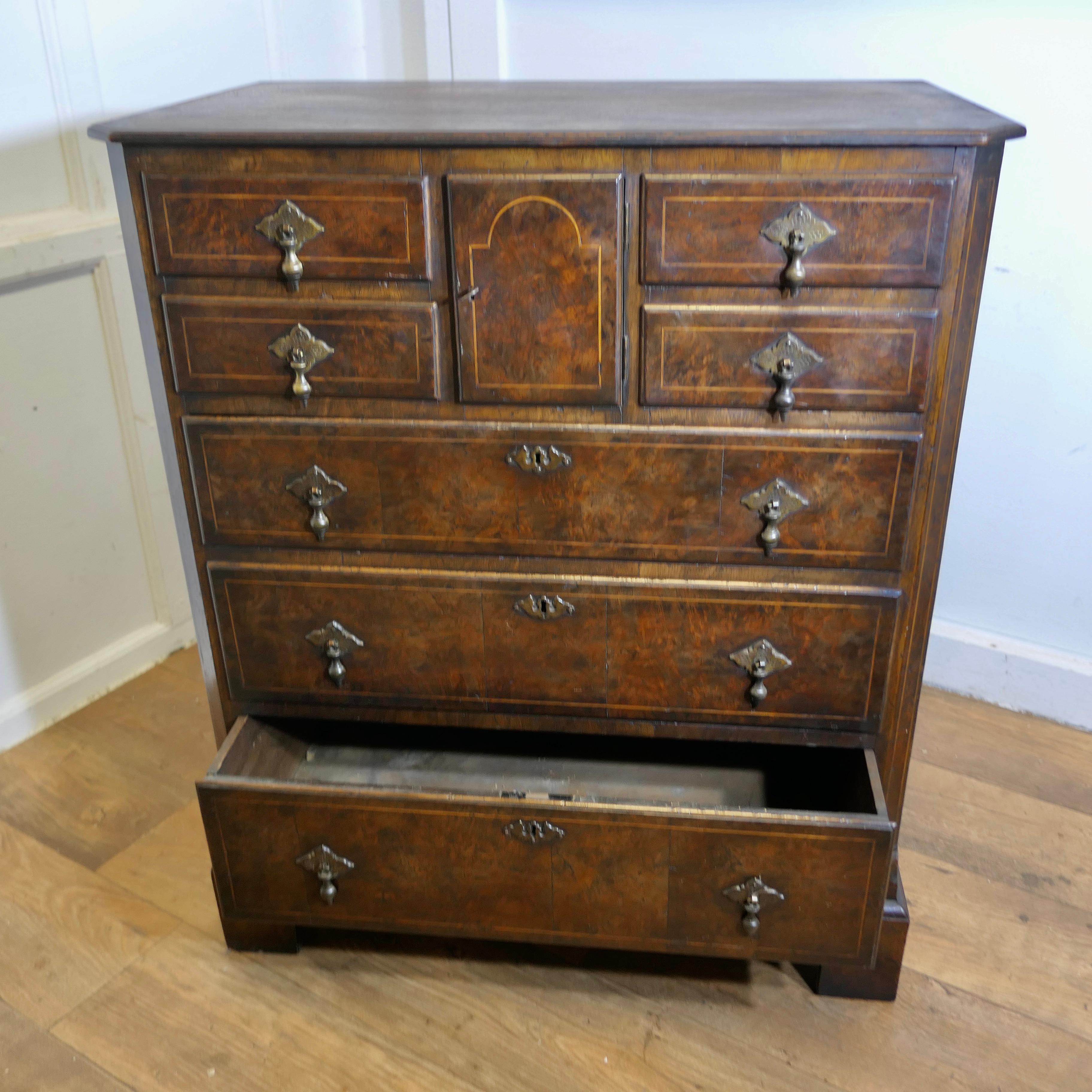 Un'elegante cassettiera in noce di Bur e Oak  Il Can ha una combinazione insolita di in vendita 1