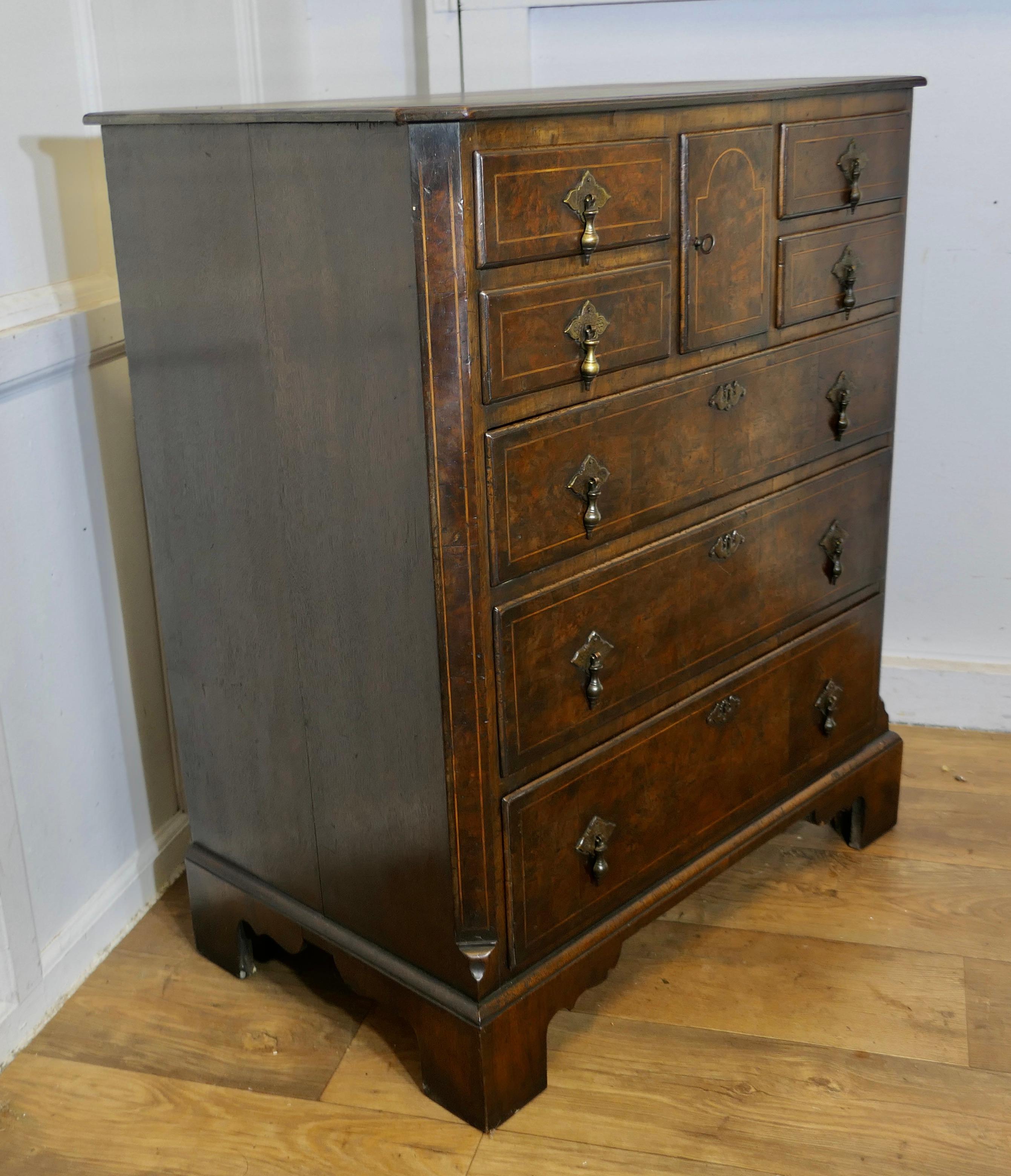 Un'elegante cassettiera in noce di Bur e Oak  Il Can ha una combinazione insolita di in vendita 3