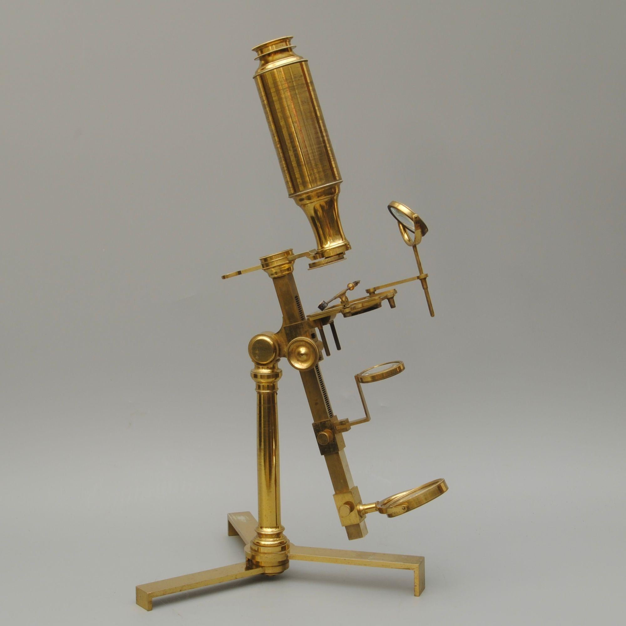 first light microscope