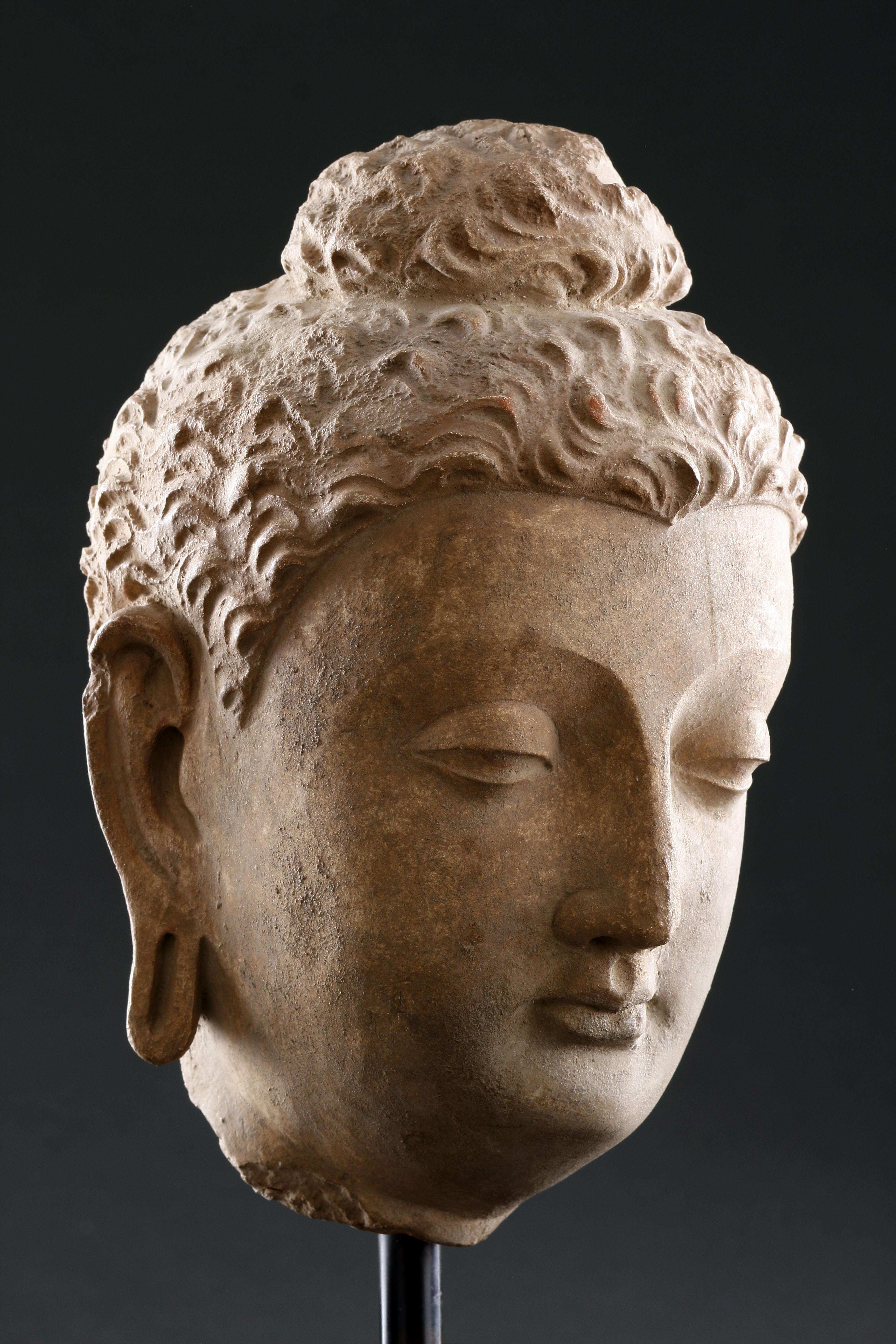 Feiner gandharanischer Buddha-Kopf im Angebot 4