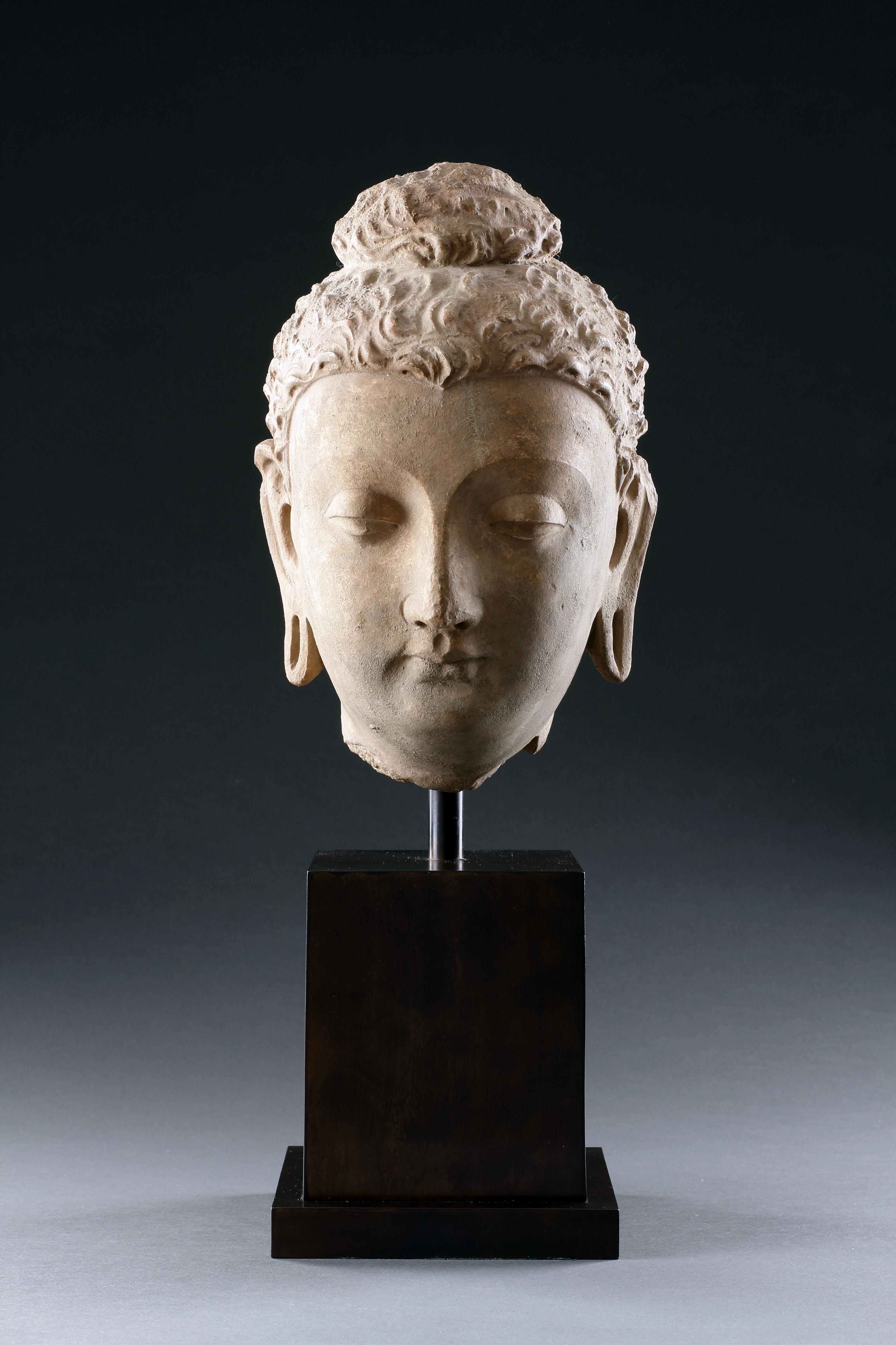 A Fine Gandharan Head of a Buddha 
Stucco with ‘earth pigment’ 
Some old ‘restoration’ to the nose
Afghanistan 

3rd Century AD

Size: 26cm high, 14.5cm wide, 14cm deep - 10¼ ins high, 5¾ ins wide, 5½ ins deep 

Provenance:
Michael Dollard, New