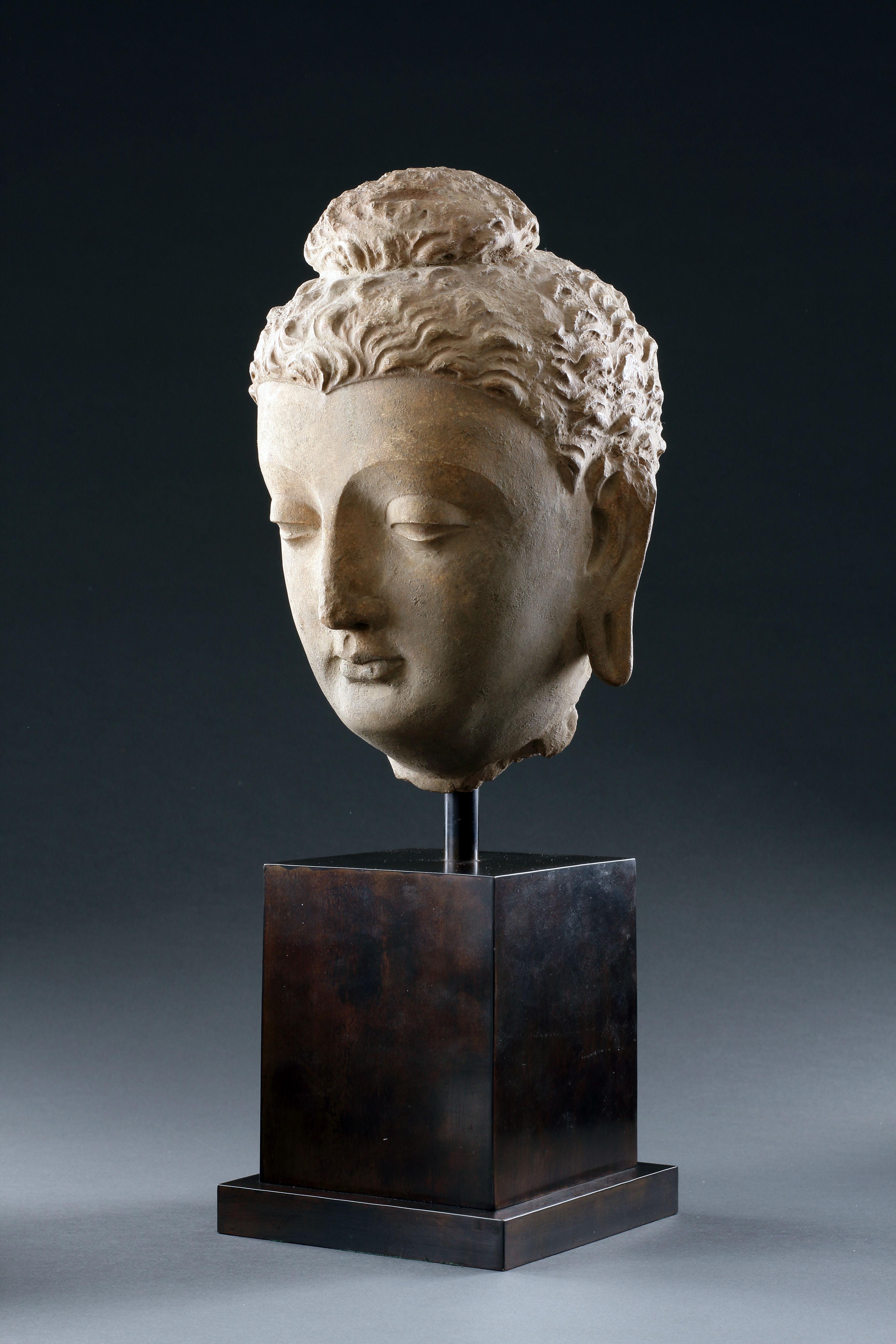 Afghan A Fine Gandharan Head of a Buddha For Sale