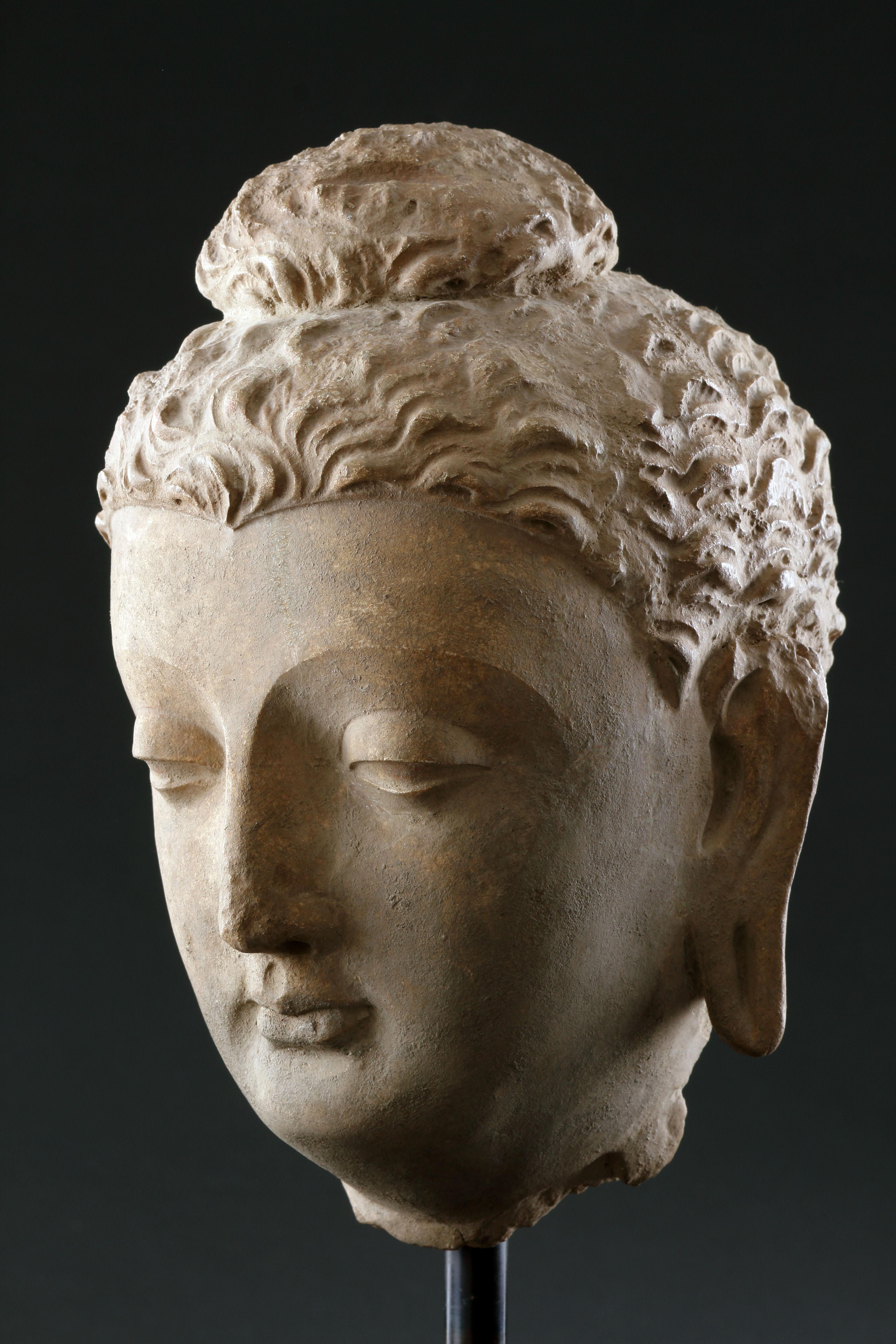 Feiner gandharanischer Buddha-Kopf im Zustand „Gut“ im Angebot in London, GB