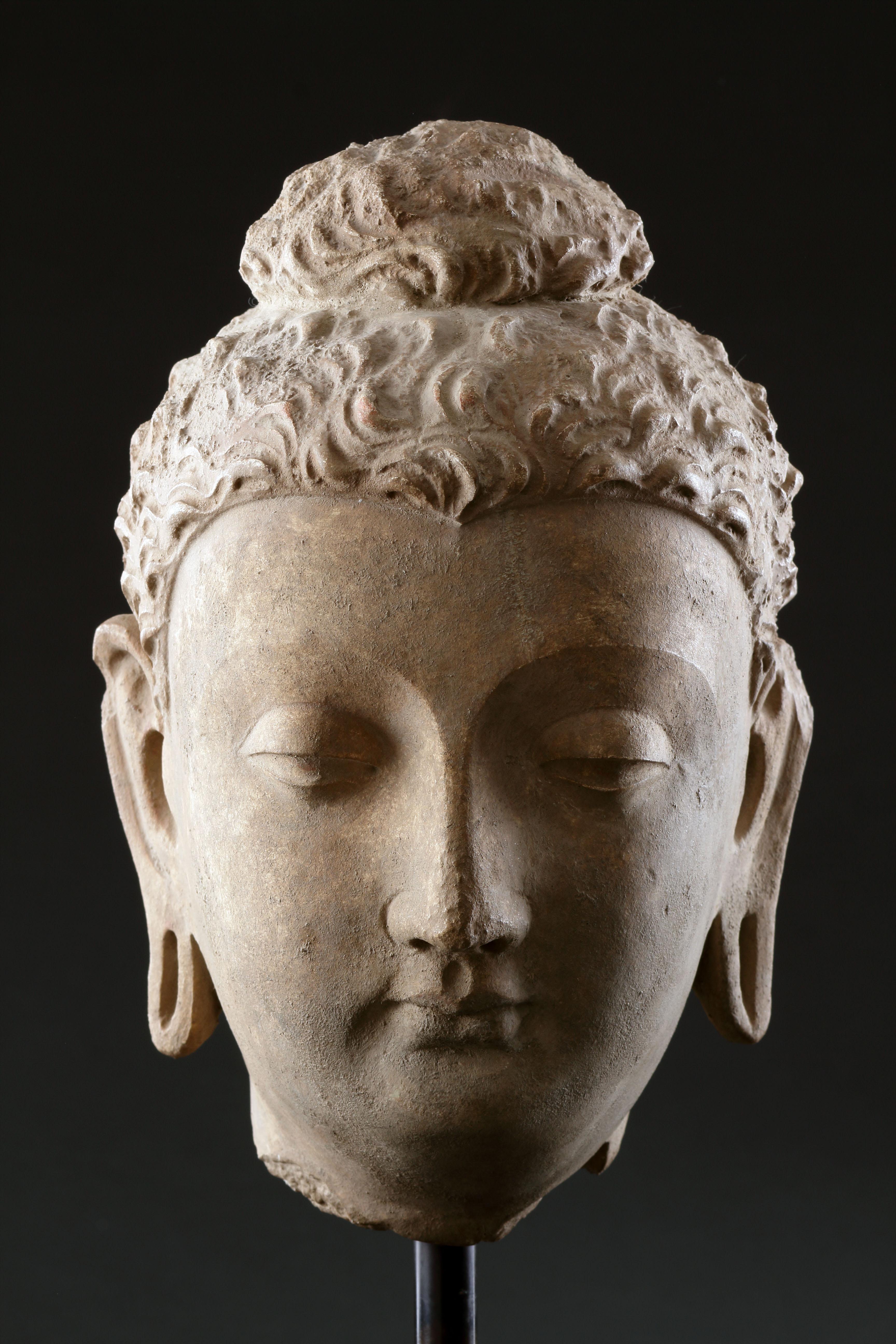 Feiner gandharanischer Buddha-Kopf (18. Jahrhundert und früher) im Angebot