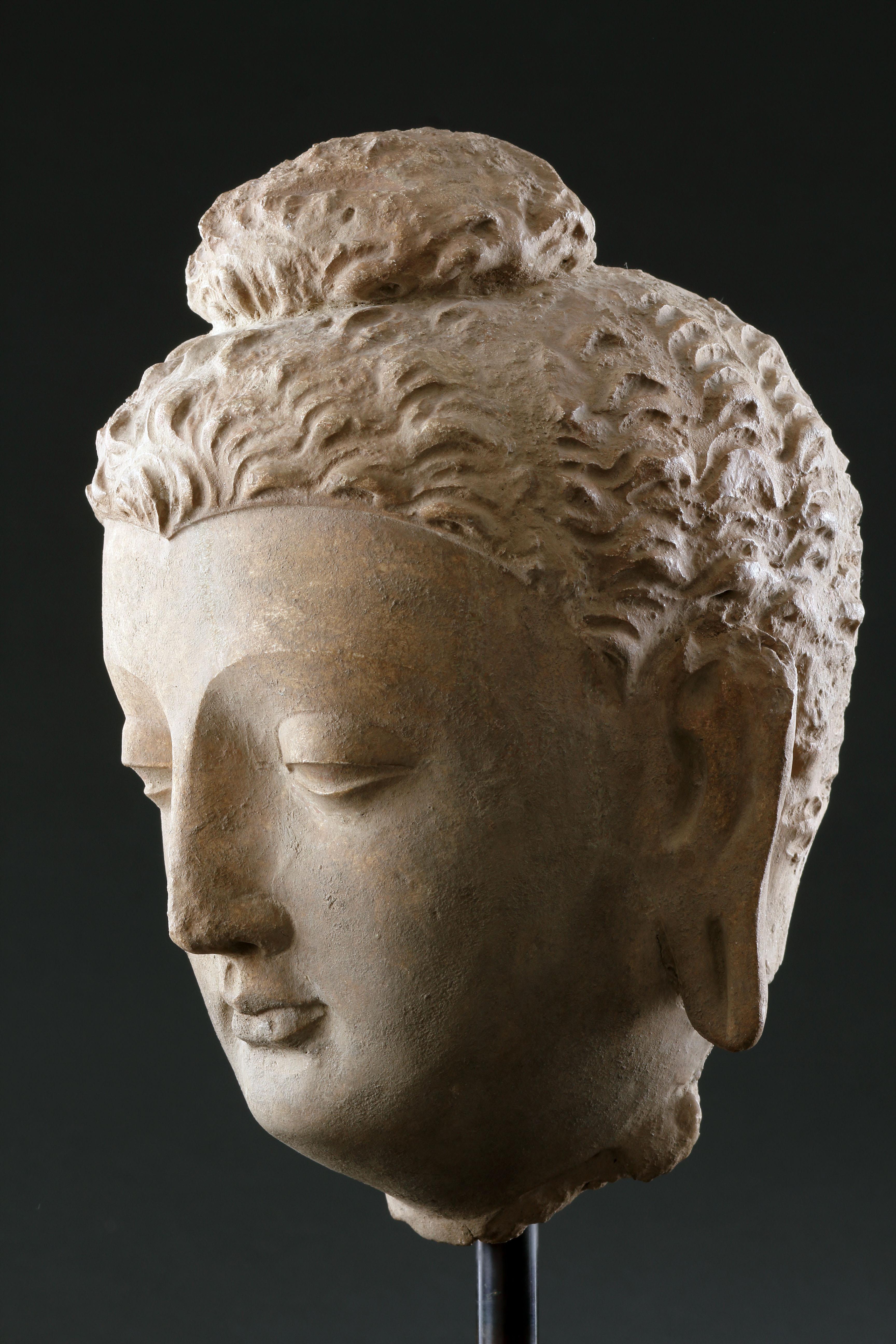 Feiner gandharanischer Buddha-Kopf (Stuck) im Angebot