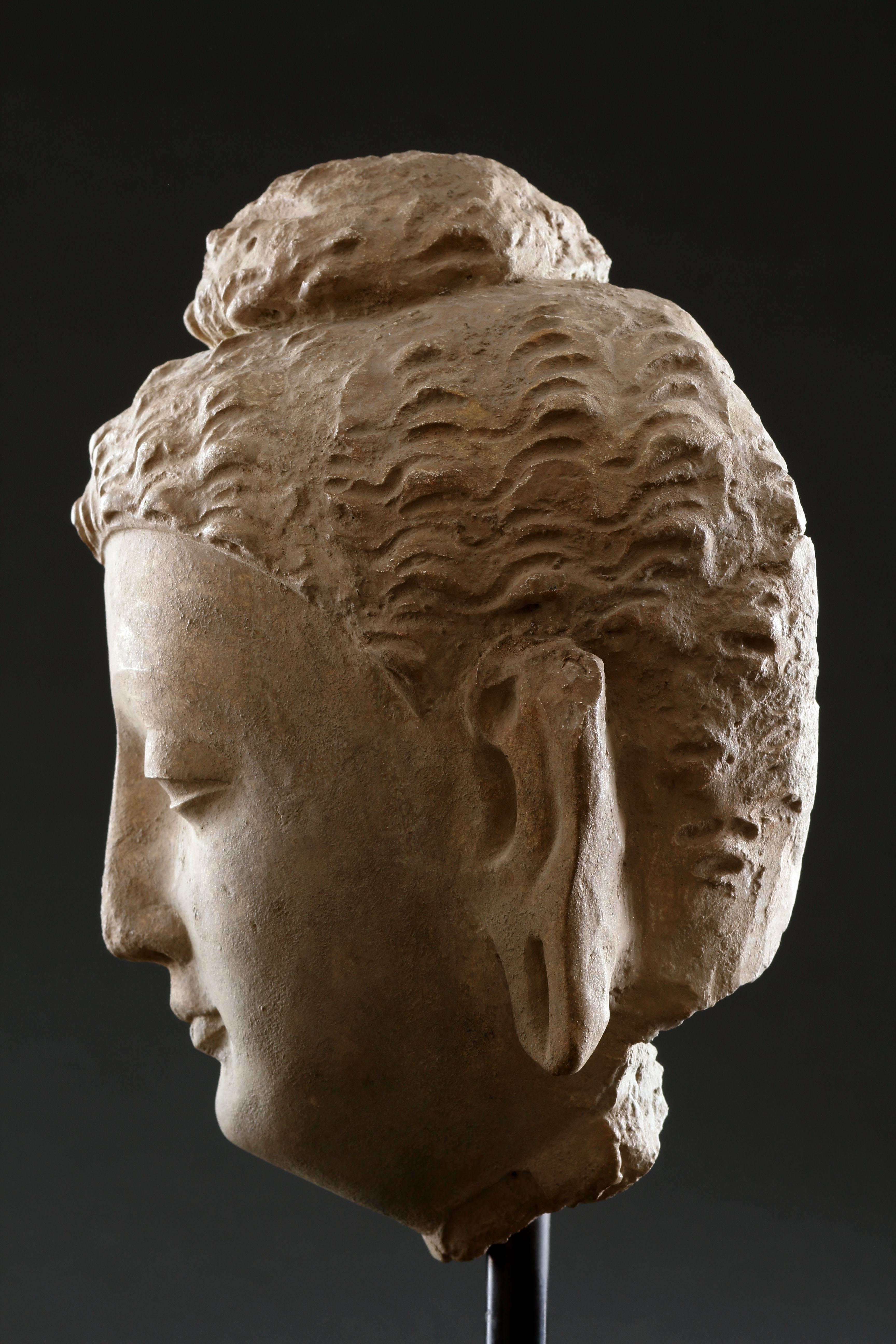 Feiner gandharanischer Buddha-Kopf im Angebot 1