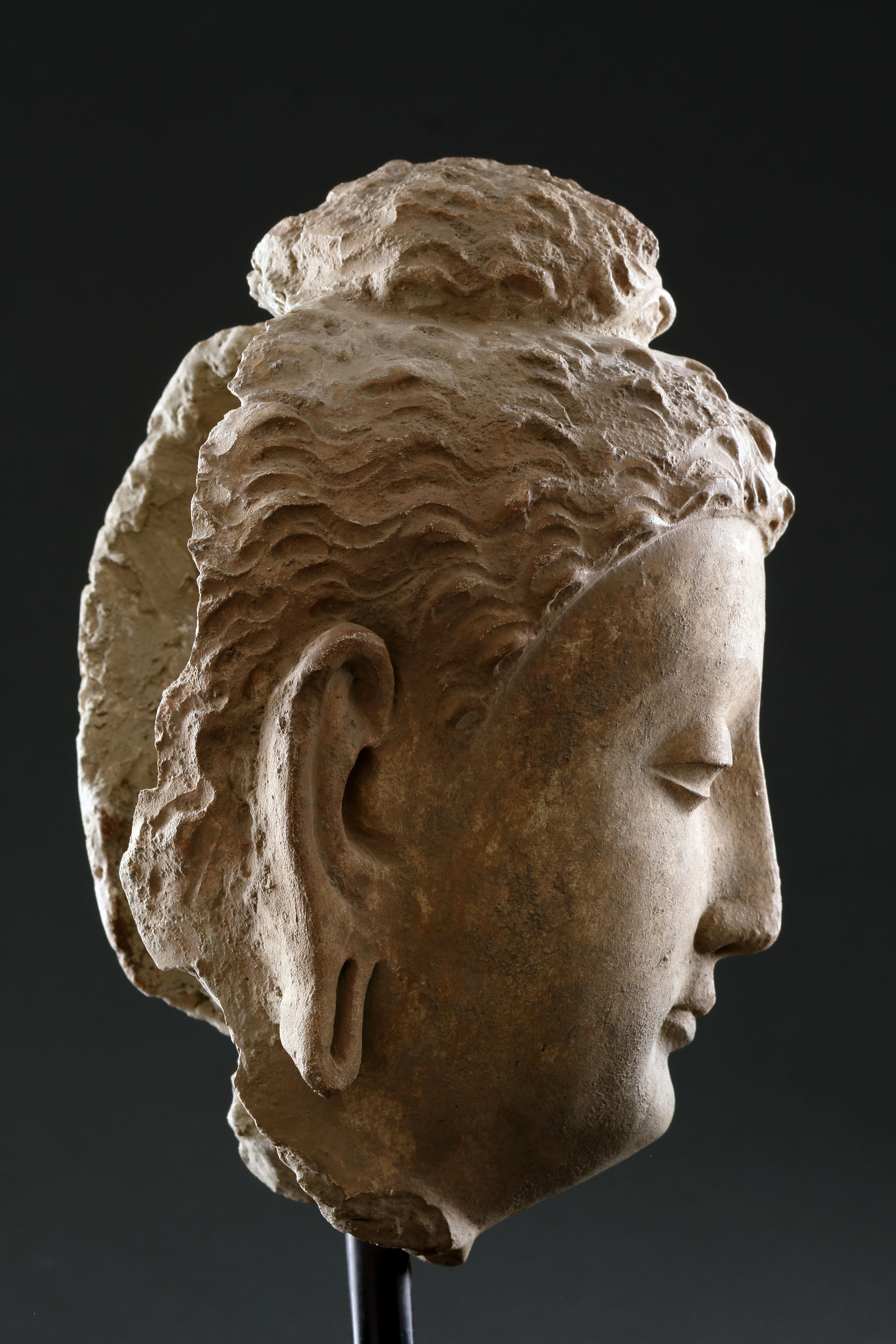 Feiner gandharanischer Buddha-Kopf im Angebot 2