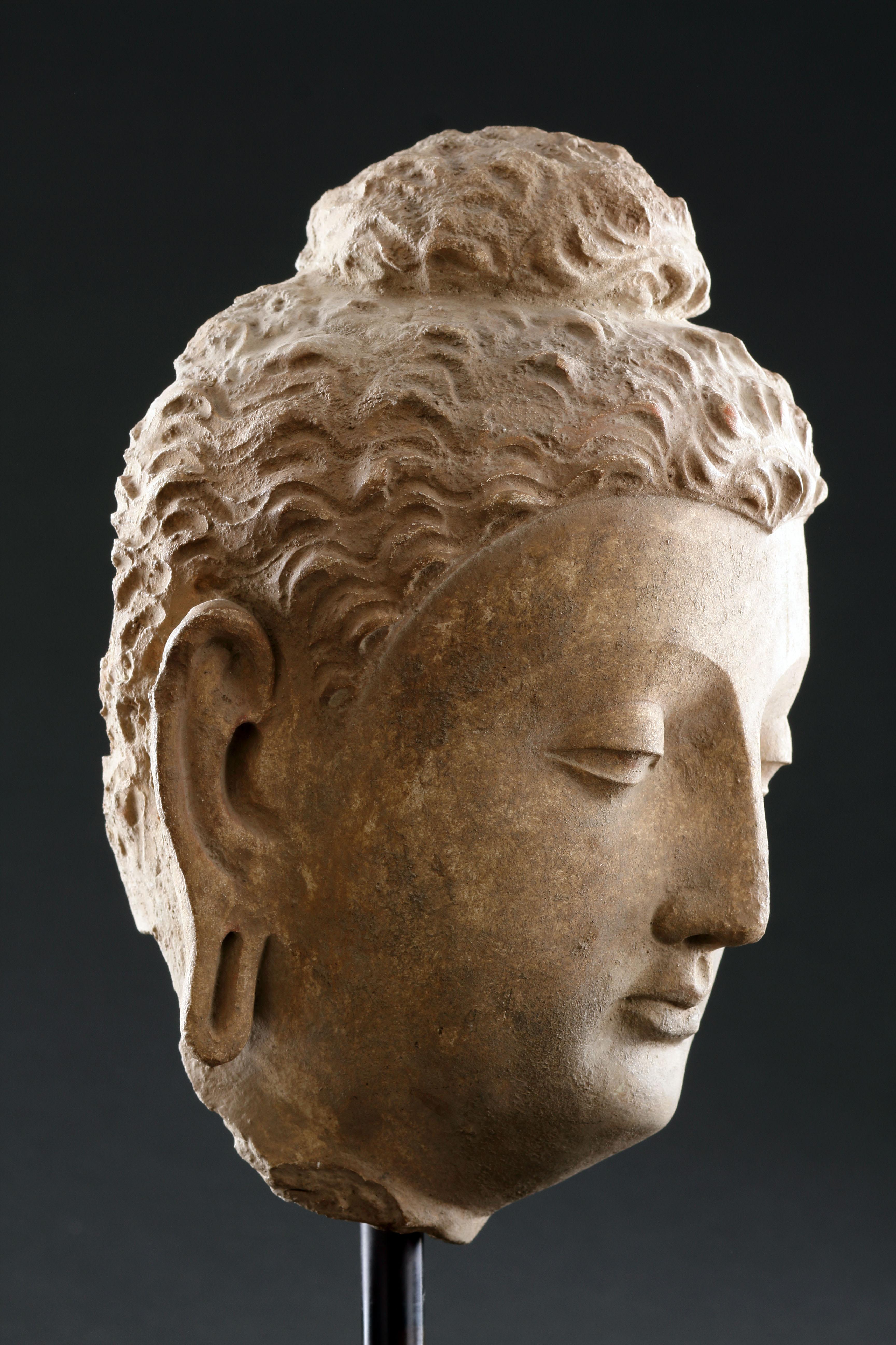 Feiner gandharanischer Buddha-Kopf im Angebot 3