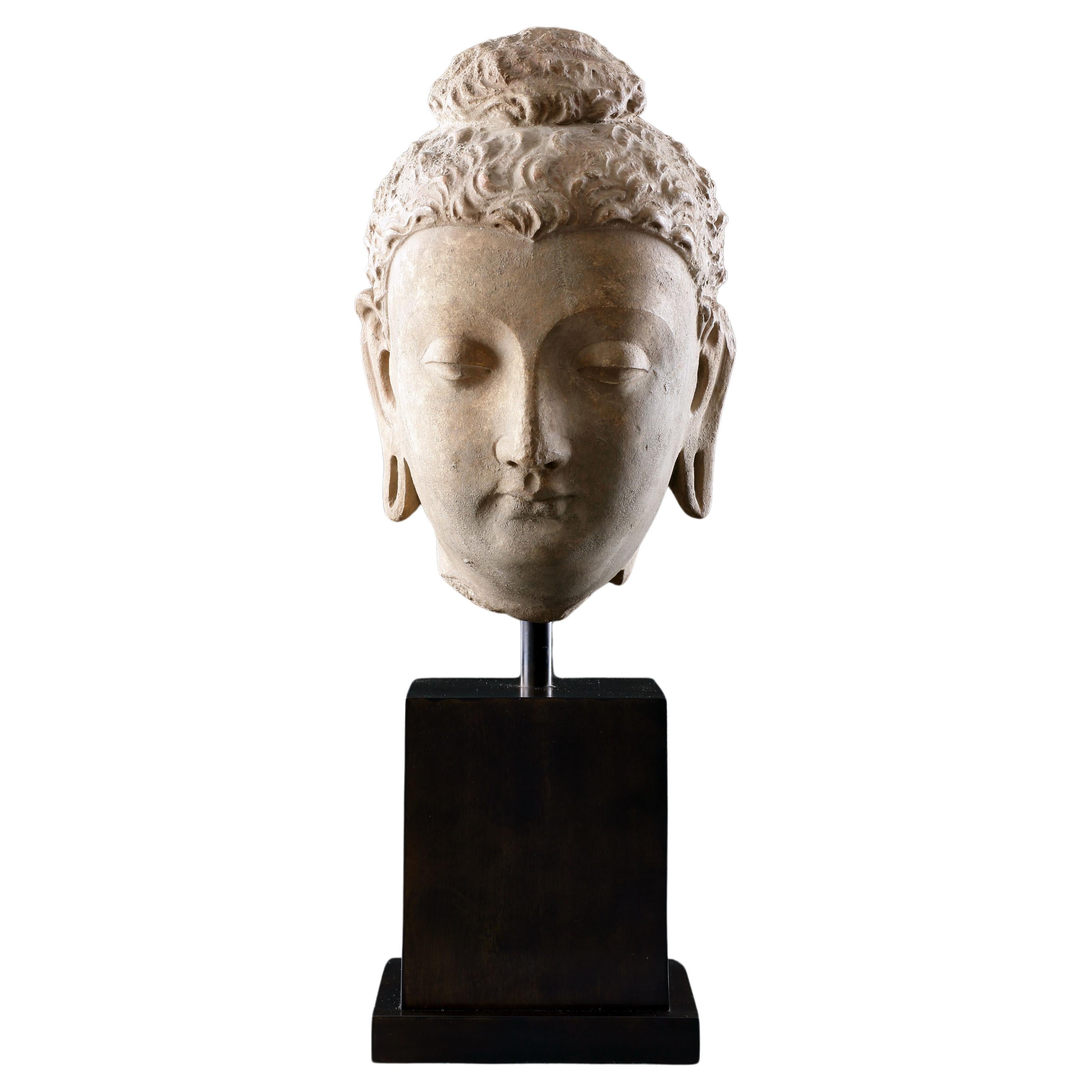 Belle tête de bouddha du Gandhara