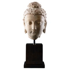 Antique A Fine Gandharan Head of a Buddha