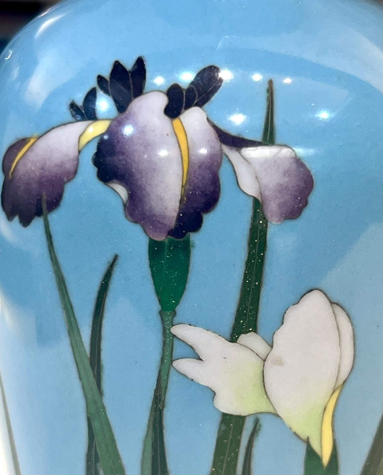 A Fine Japanese Cloisonné Enamel Vase with Irises. Meiji period For Sale 11