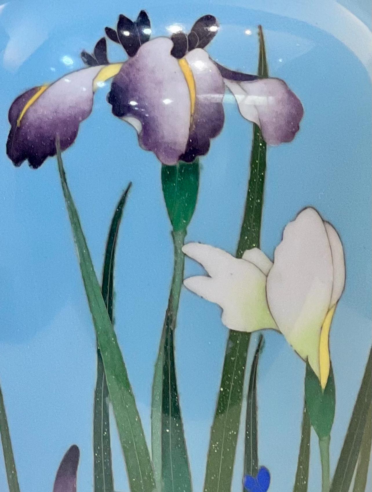 Cloissoné A Fine Japanese Cloisonné Enamel Vase with Irises. Meiji period For Sale