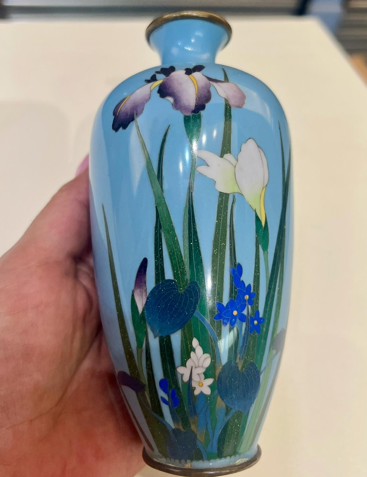 19th Century A Fine Japanese Cloisonné Enamel Vase with Irises. Meiji period For Sale