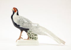 Fine Meissen Porcelain Model of a Silver Feathered Pheasant