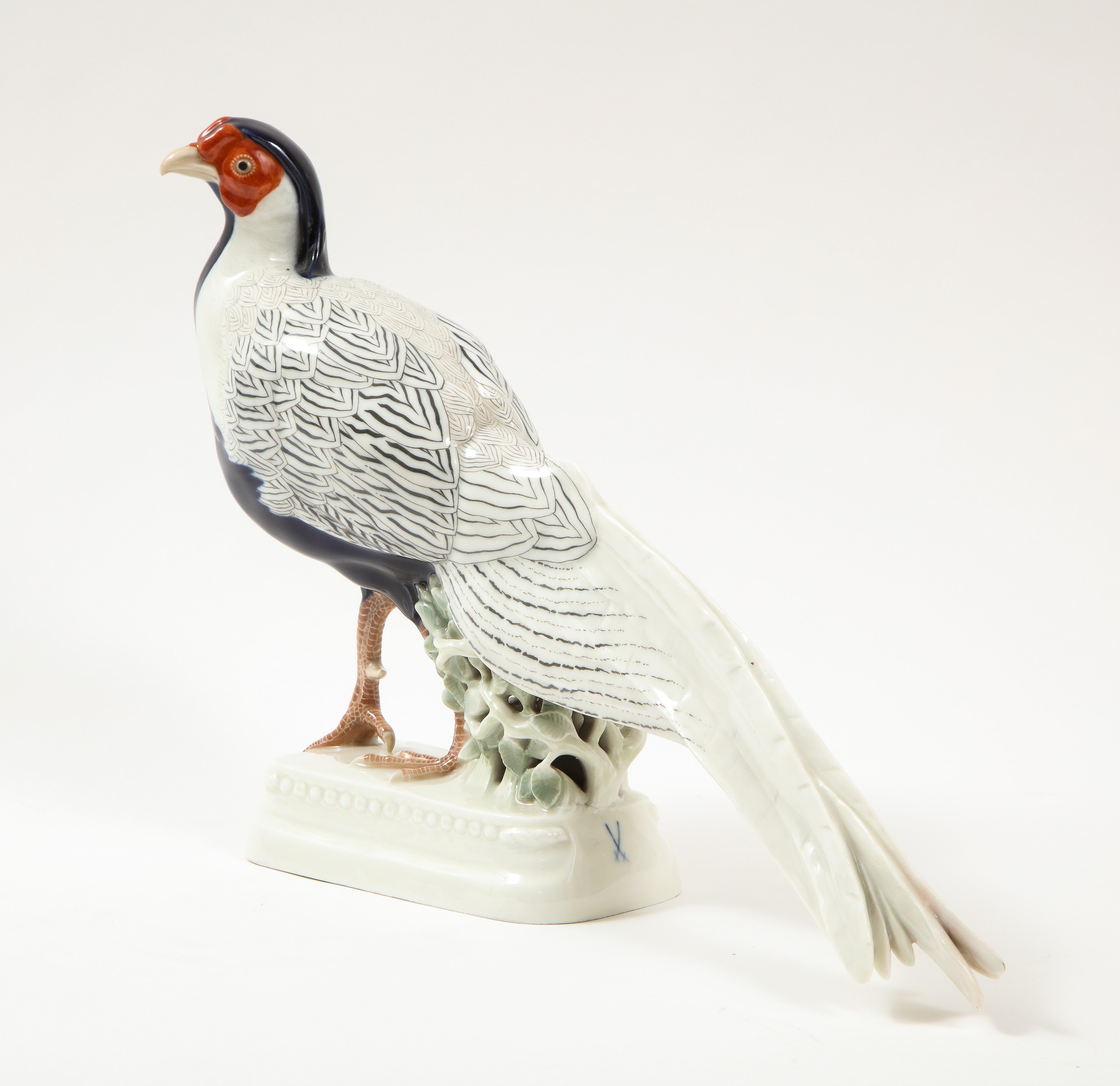 Allemand Modèle en porcelaine fine de Meissen représentant un faisan à plumes d'argent en vente