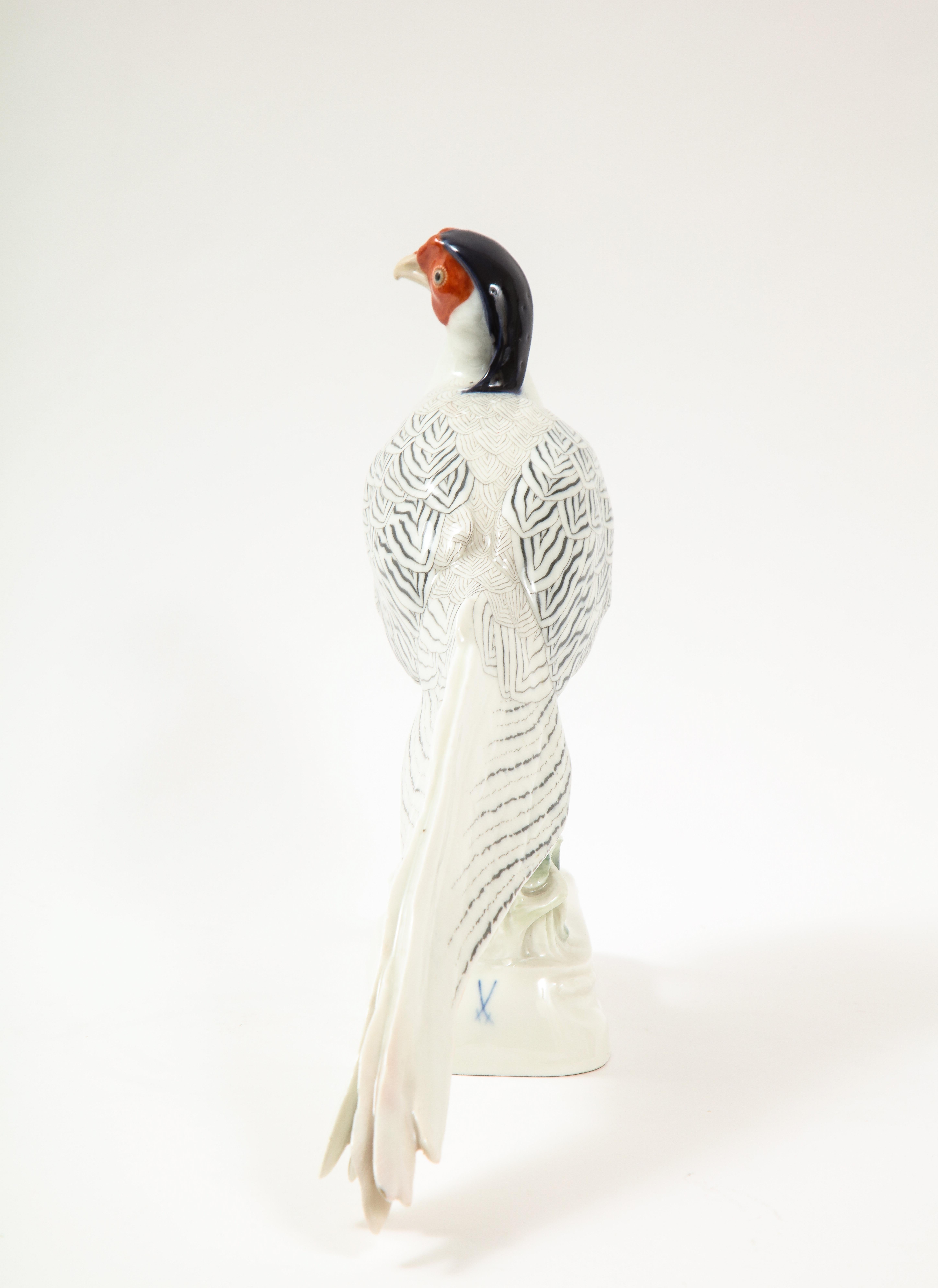 20th Century Fine Meissen Porcelain Model of a Silver Feathered Pheasant For Sale
