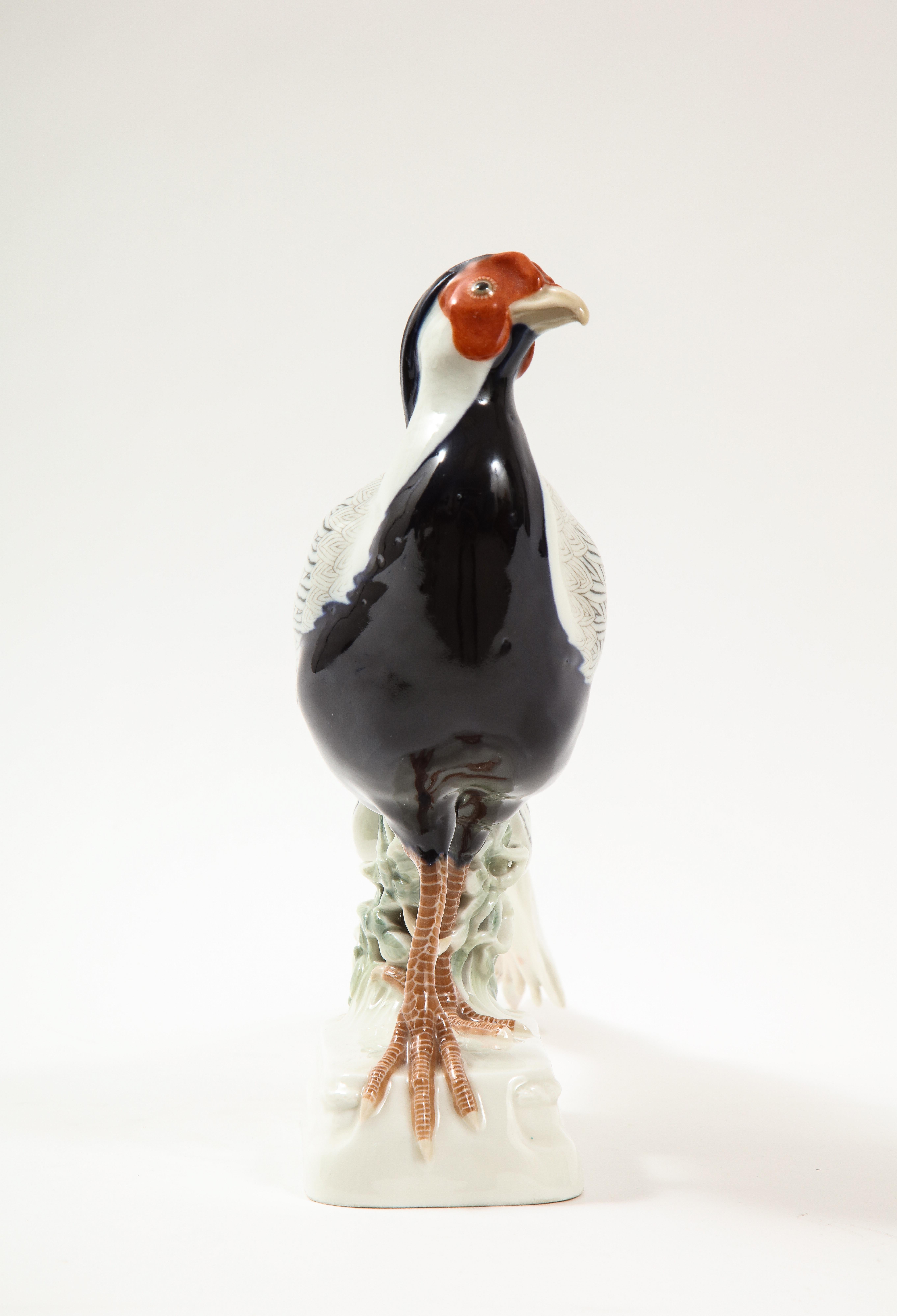 Fine Meissen Porcelain Model of a Silver Feathered Pheasant For Sale 1
