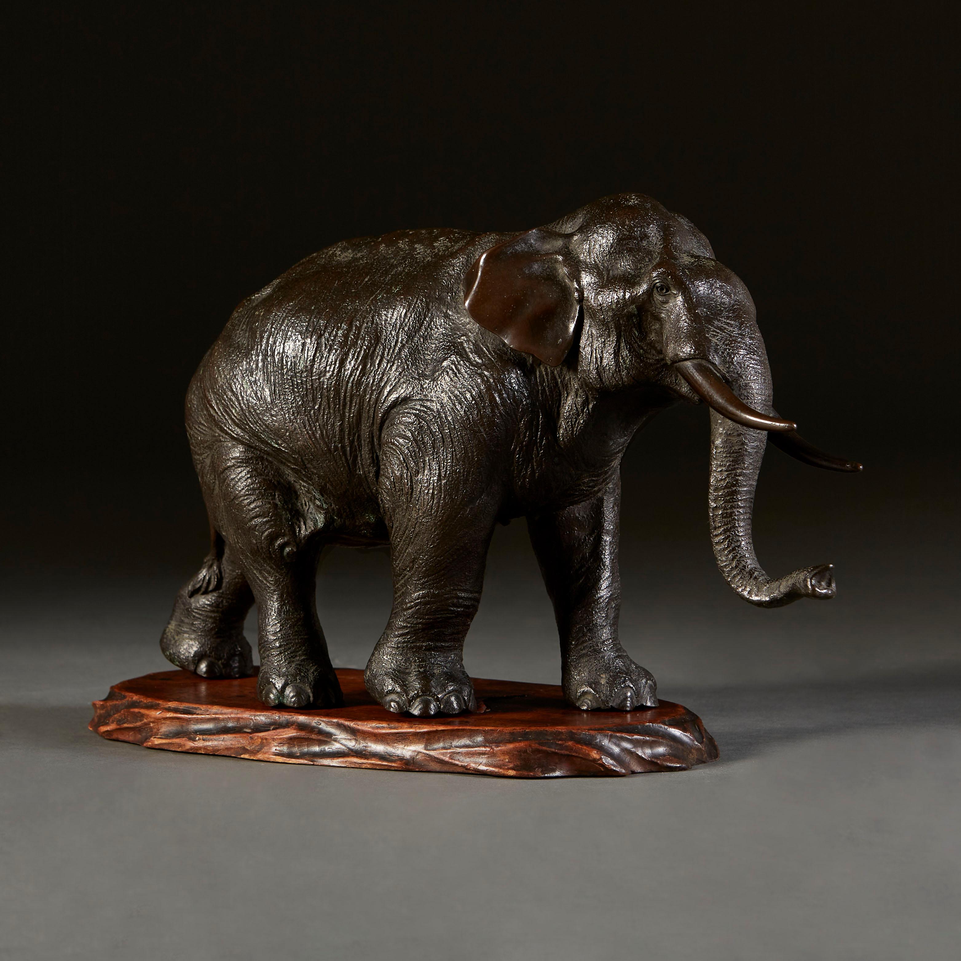 A mid nineteenth century Japanese bronze okimono of an elephant in repose, captured striding forward calmly, with its head tilted slightly to the right. The bronze has been successfully manipulated so as to replicate both the wrinkles and thickness