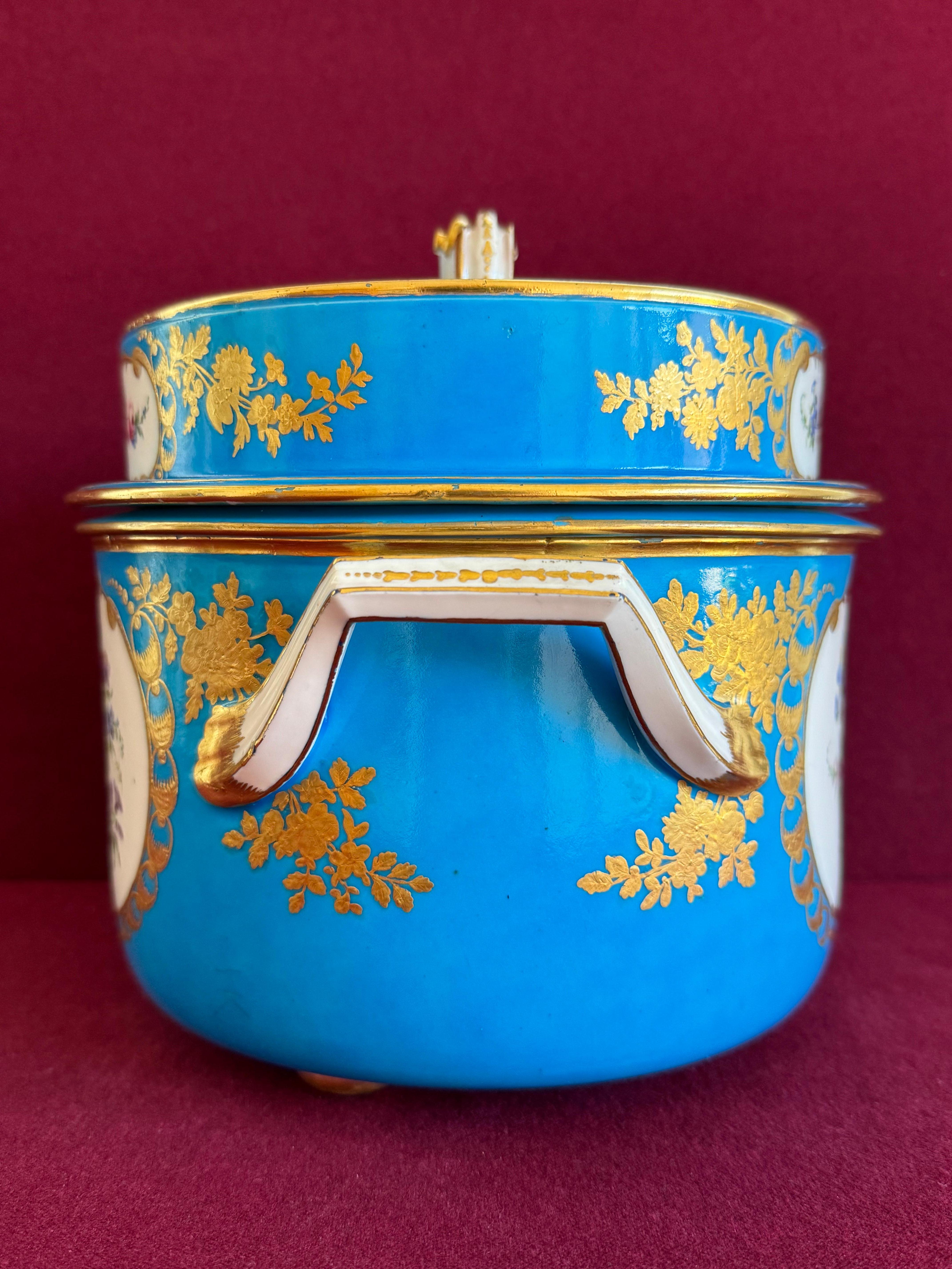Fina pareja de cubiteras de porcelana de pasta blanda de Sèvres del siglo XVIII en venta 7