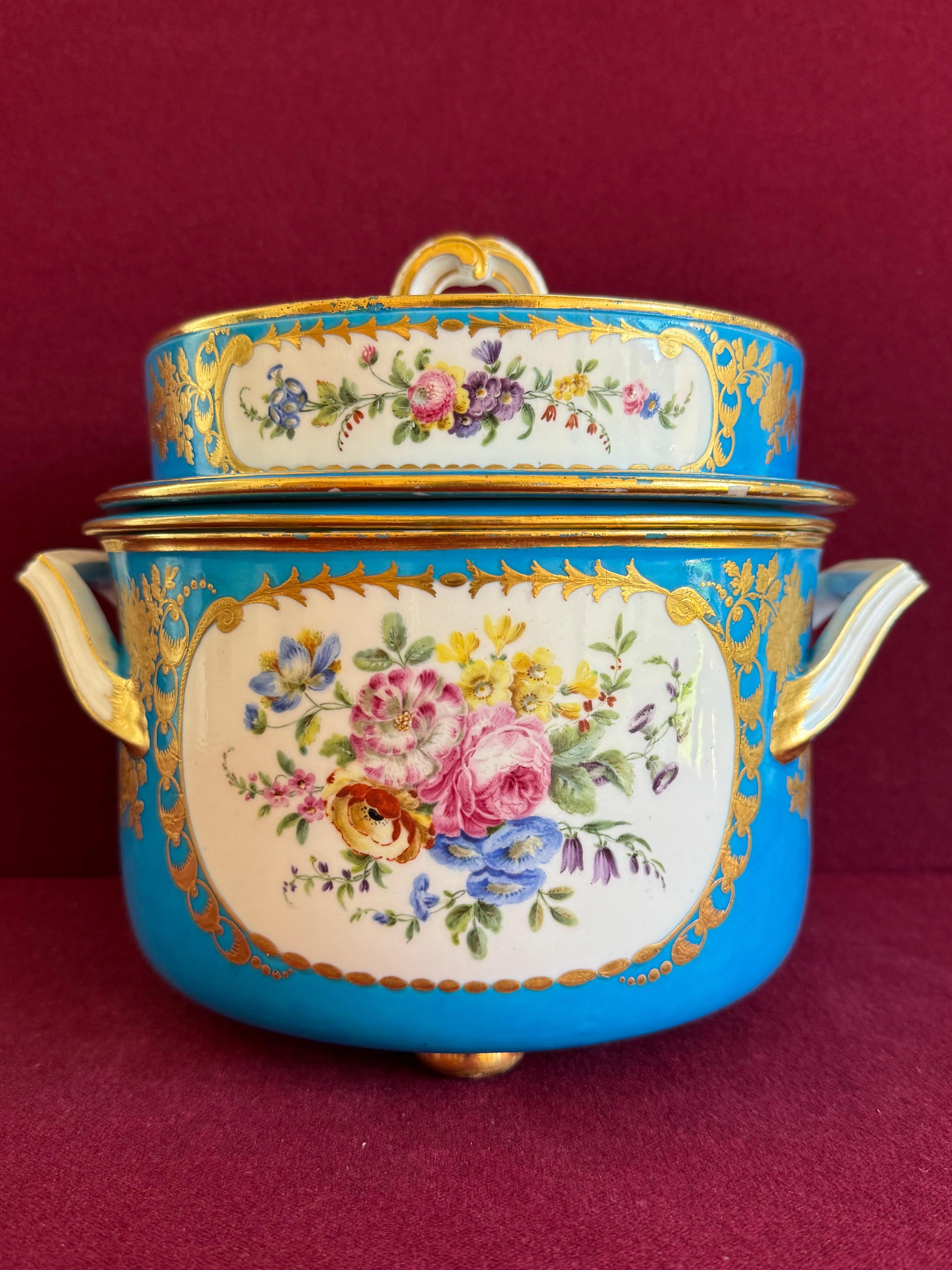Fina pareja de cubiteras de porcelana de pasta blanda de Sèvres del siglo XVIII en venta 8