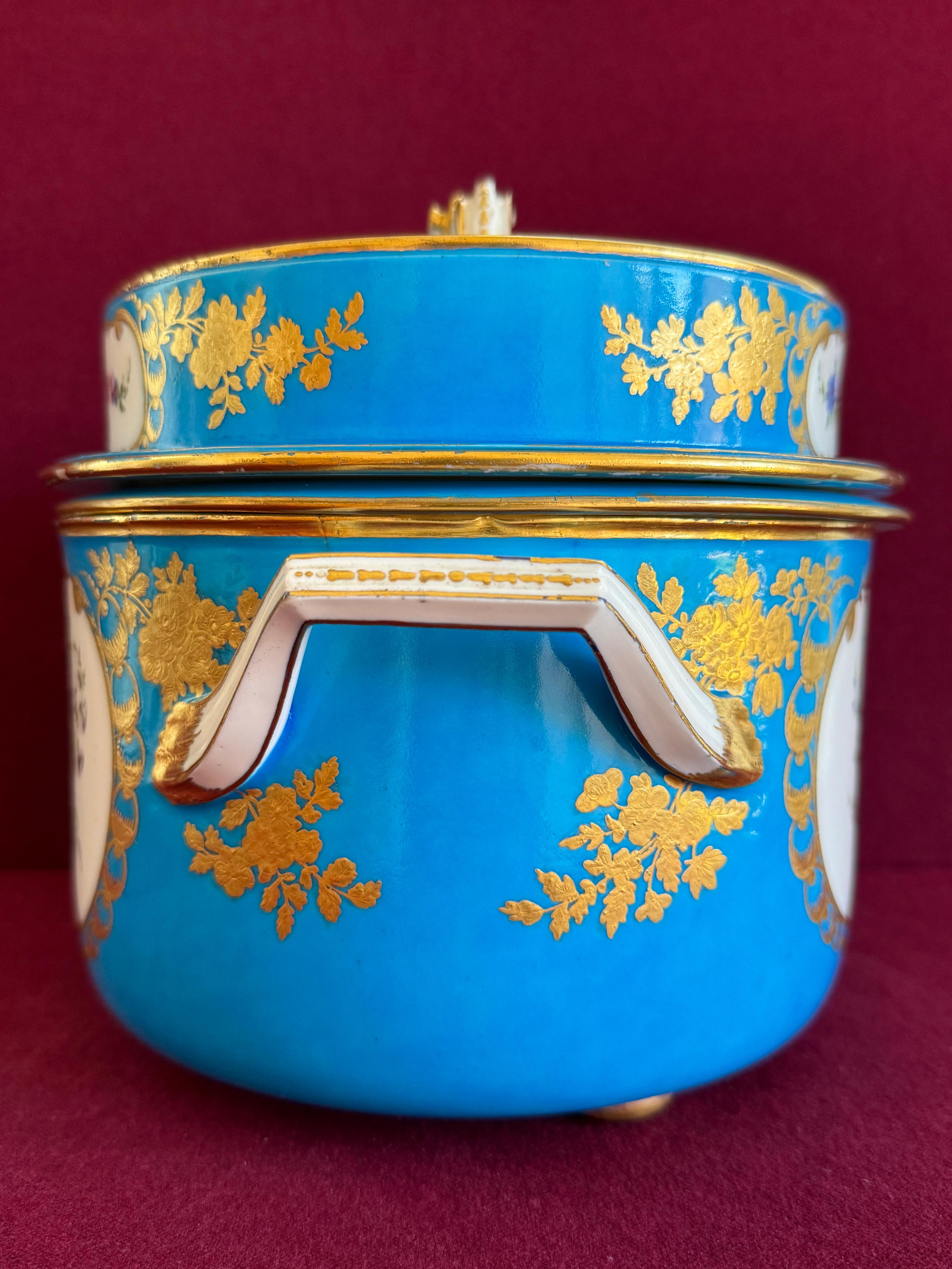 Fina pareja de cubiteras de porcelana de pasta blanda de Sèvres del siglo XVIII en venta 10