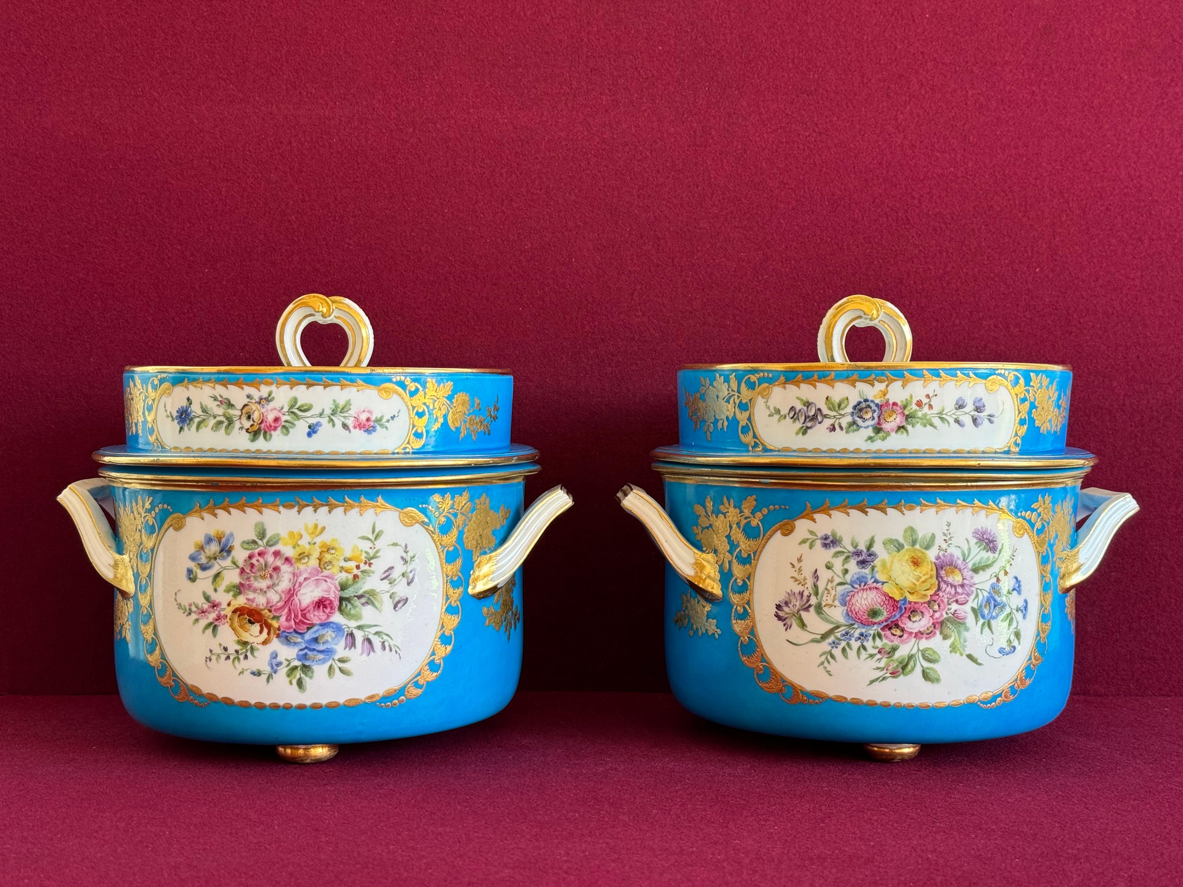 Fina pareja de cubiteras de porcelana de pasta blanda de Sèvres del siglo XVIII Francés en venta