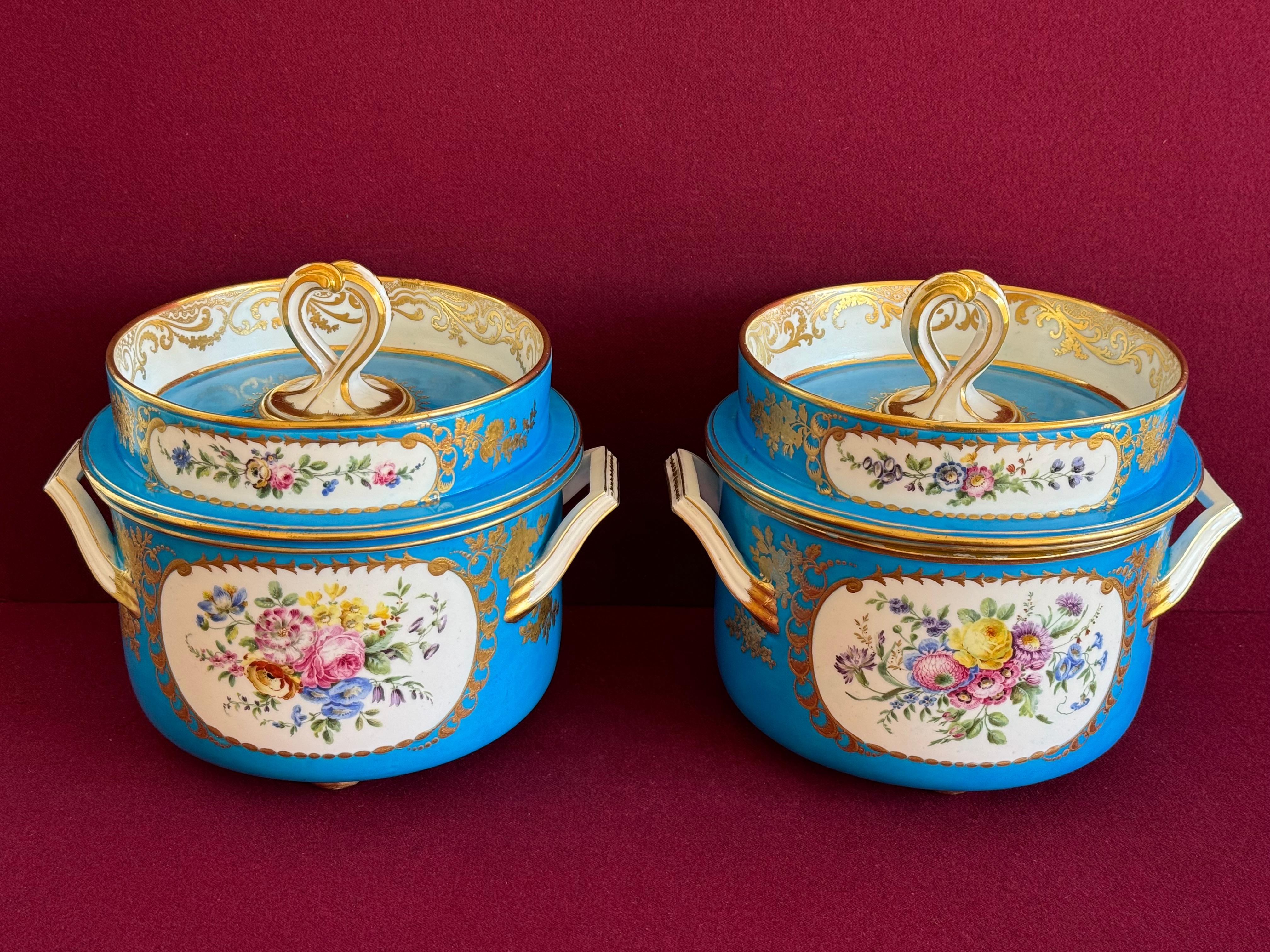 Fina pareja de cubiteras de porcelana de pasta blanda de Sèvres del siglo XVIII Pintado a mano en venta