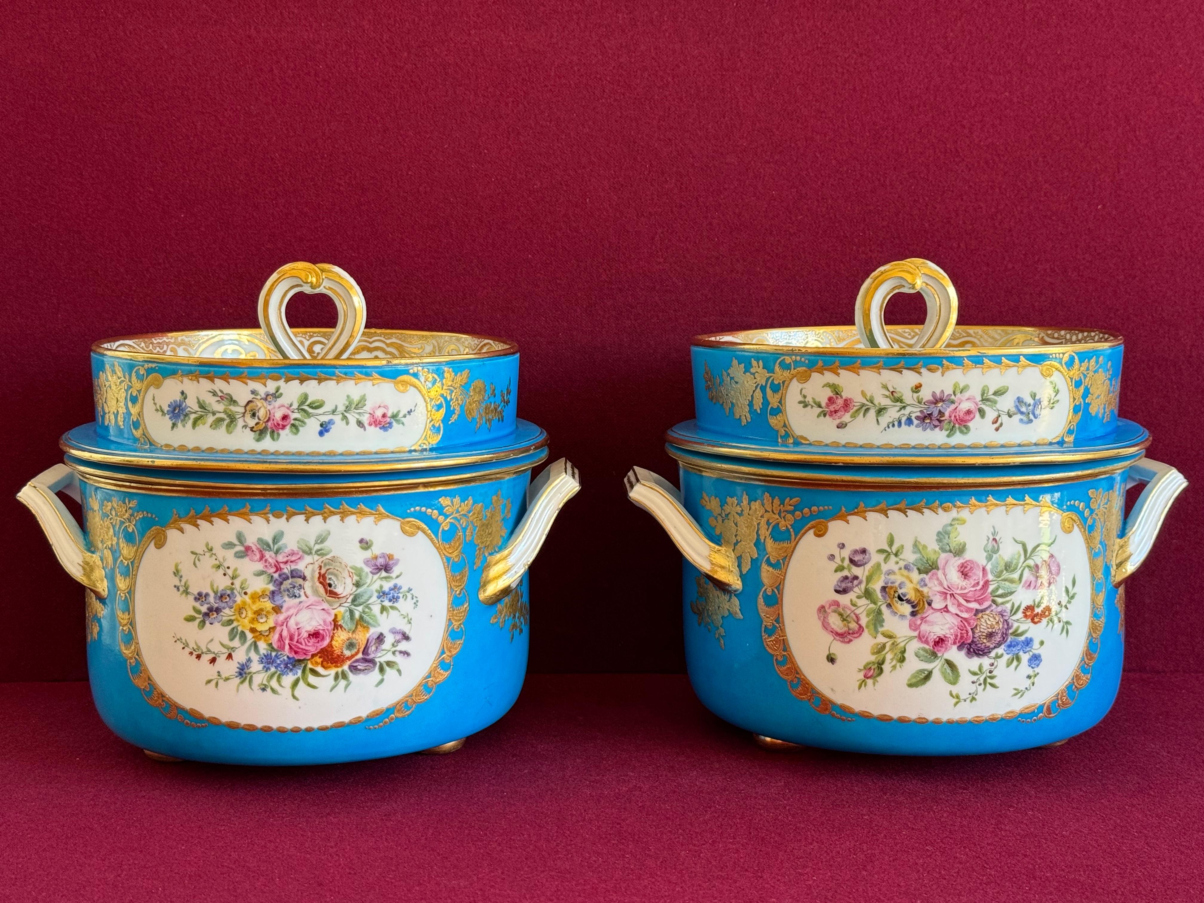 Fina pareja de cubiteras de porcelana de pasta blanda de Sèvres del siglo XVIII en Bueno estado para la venta en Exeter, GB
