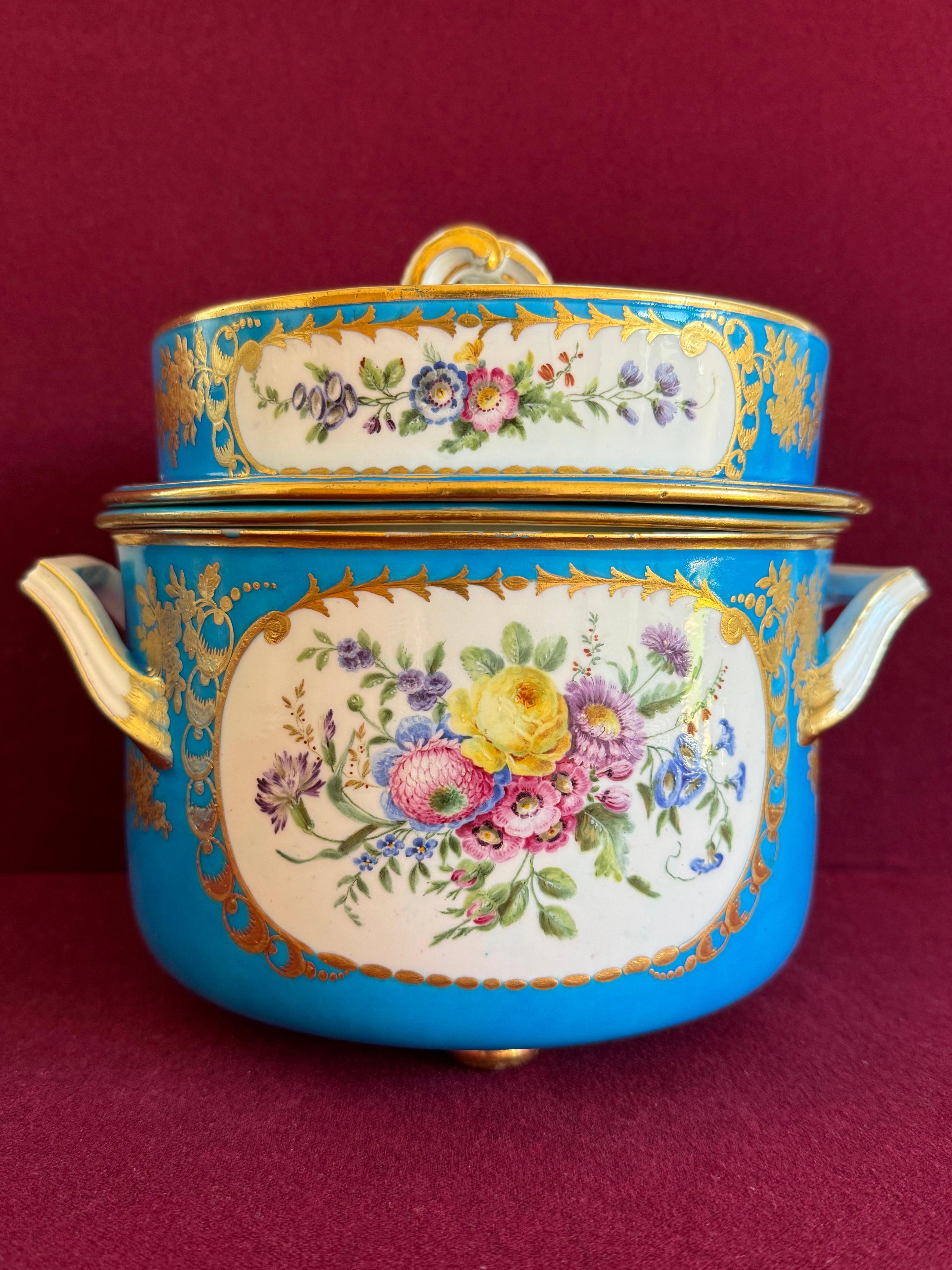 Fina pareja de cubiteras de porcelana de pasta blanda de Sèvres del siglo XVIII siglo XVIII y antes en venta