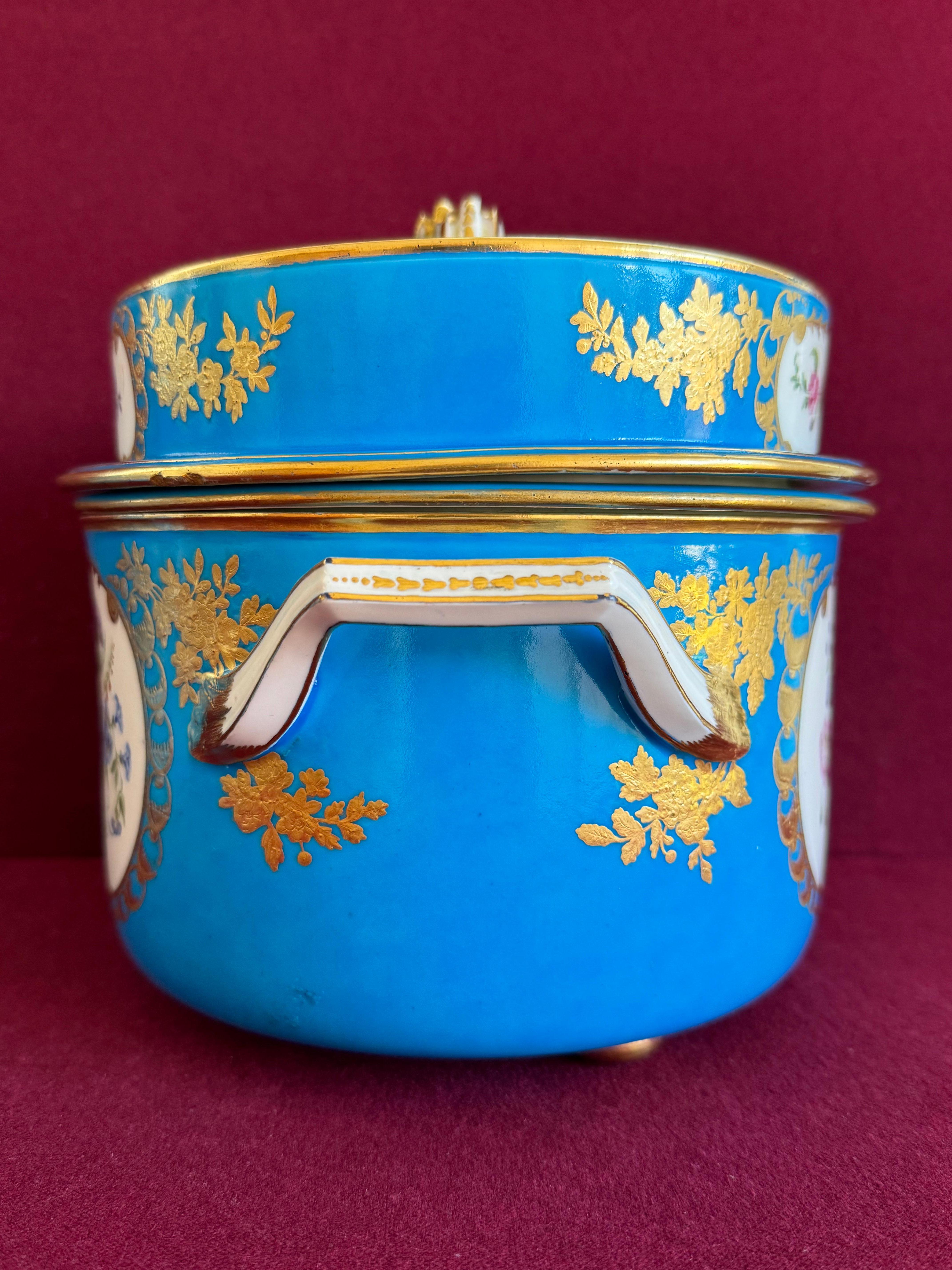 Fina pareja de cubiteras de porcelana de pasta blanda de Sèvres del siglo XVIII Porcelana en venta