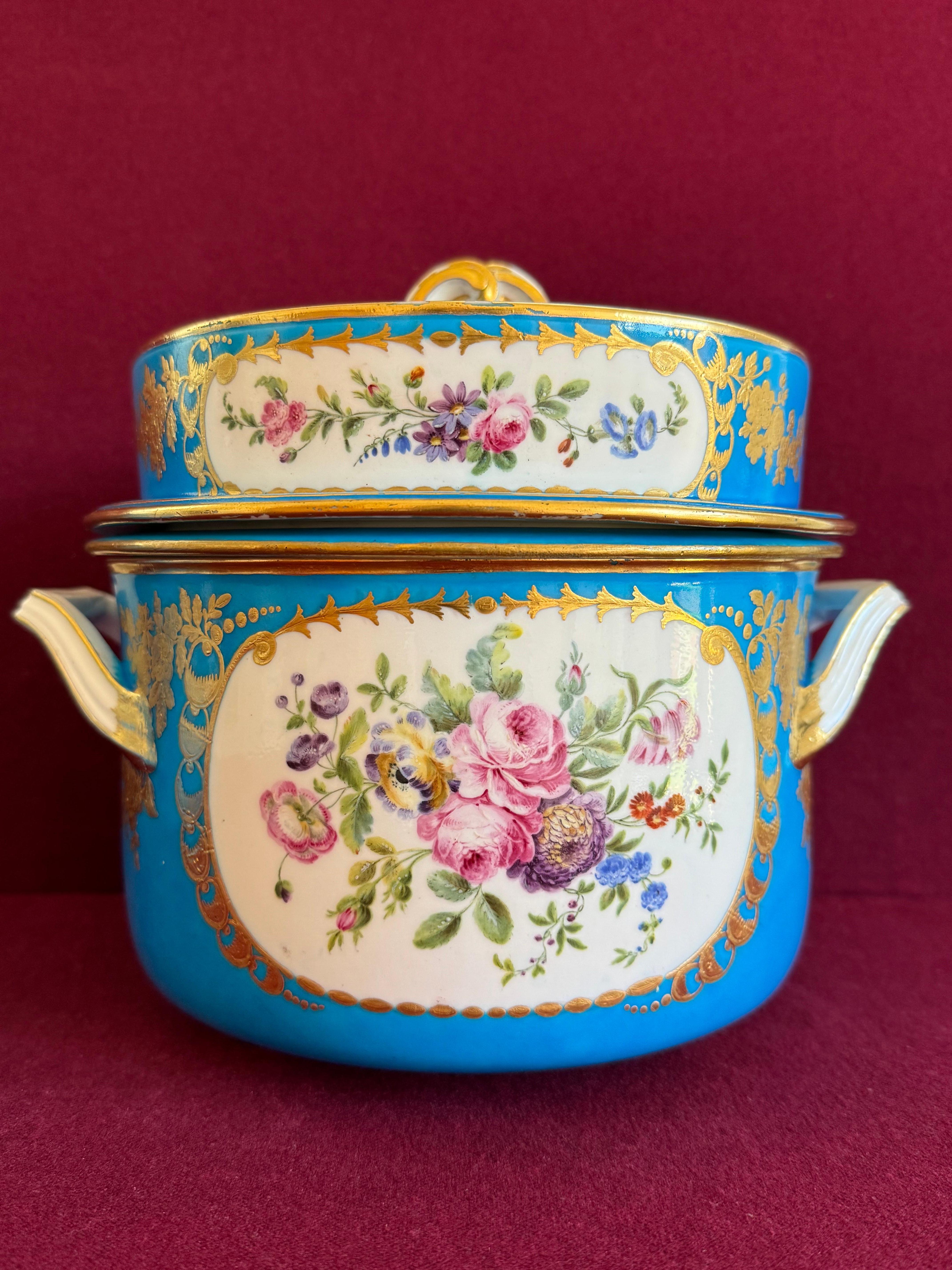 Fina pareja de cubiteras de porcelana de pasta blanda de Sèvres del siglo XVIII en venta 1