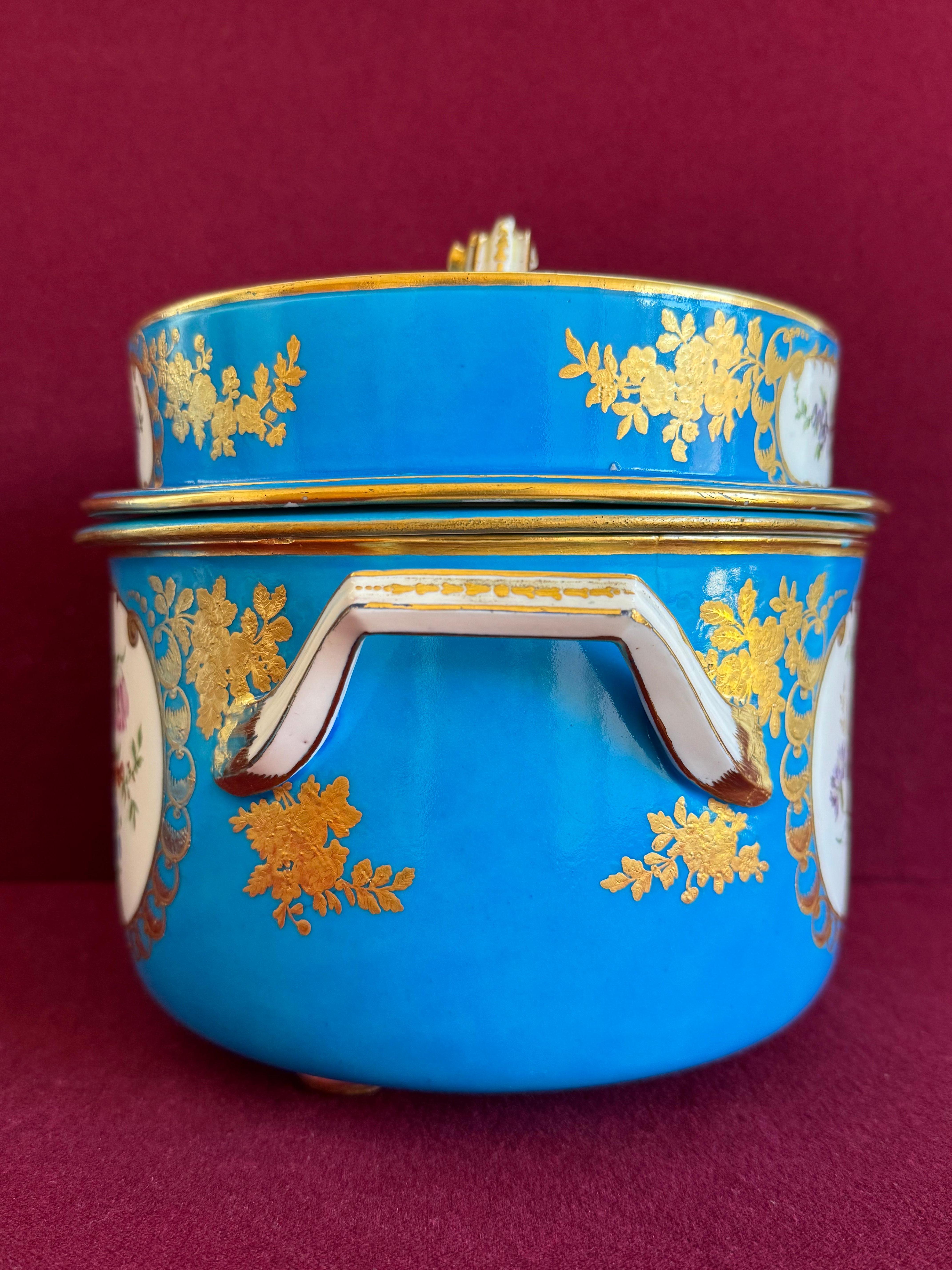 Fina pareja de cubiteras de porcelana de pasta blanda de Sèvres del siglo XVIII en venta 2