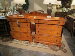 Fine Pair of 19th Century Biedermeier Birch and Ebonized Commodes