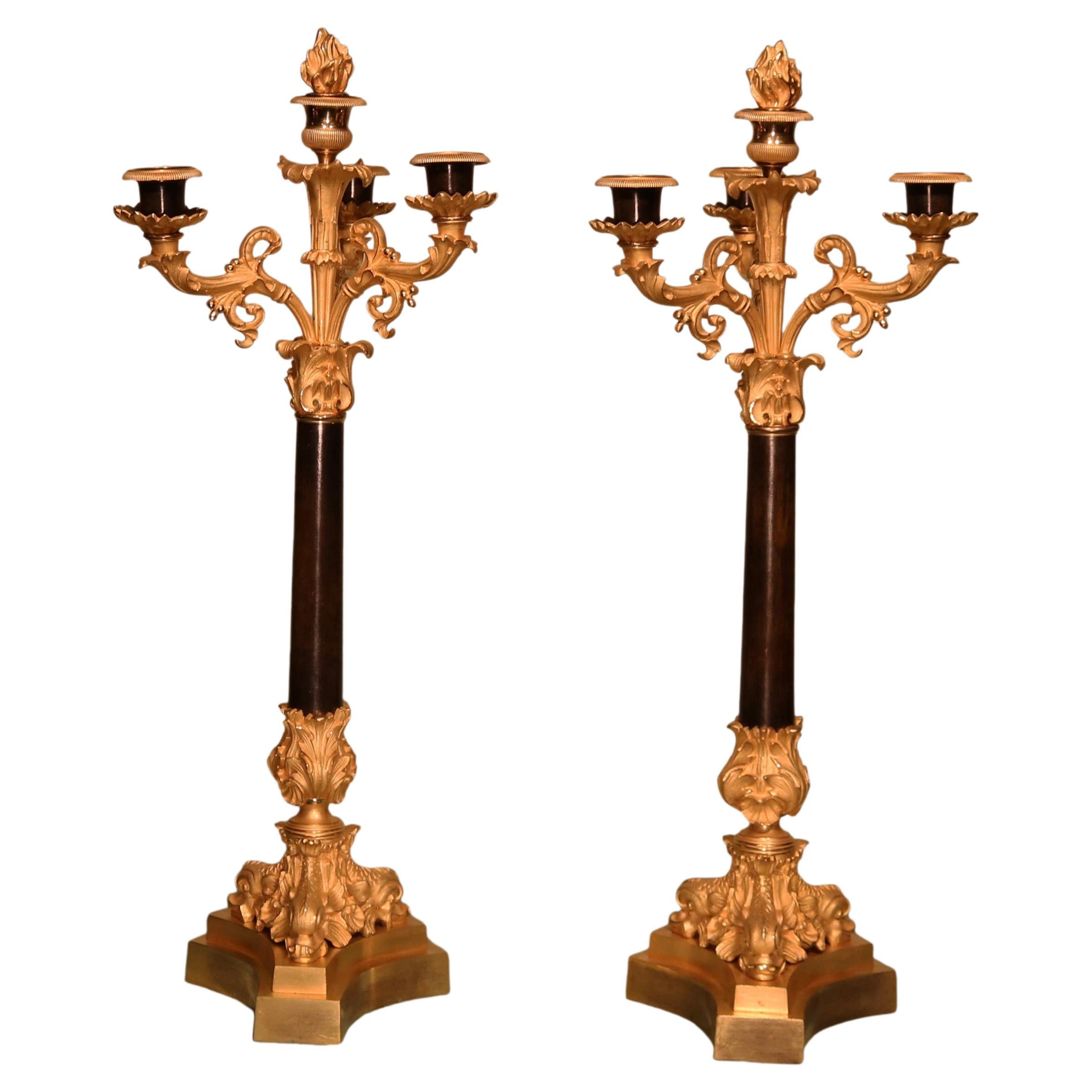 A fine pair of 19th century bronze and ormolu 4 light candelabra For Sale